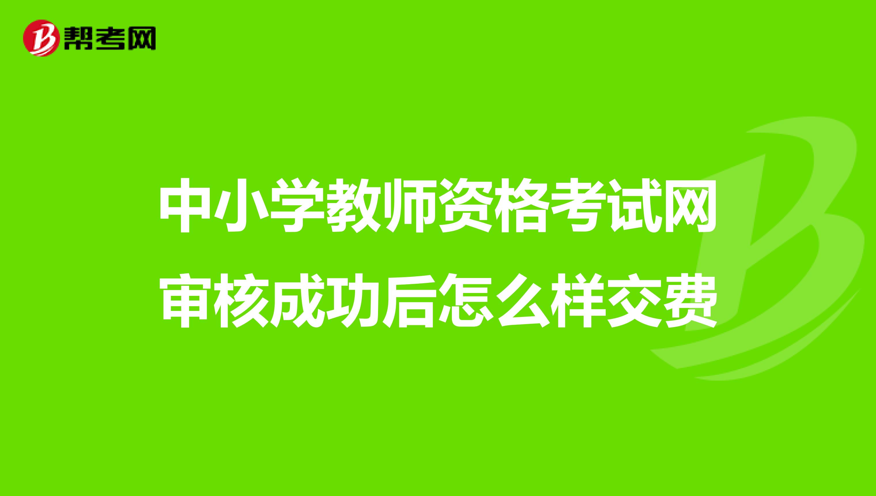 中小学教师资格考试网审核成功后怎么样交费