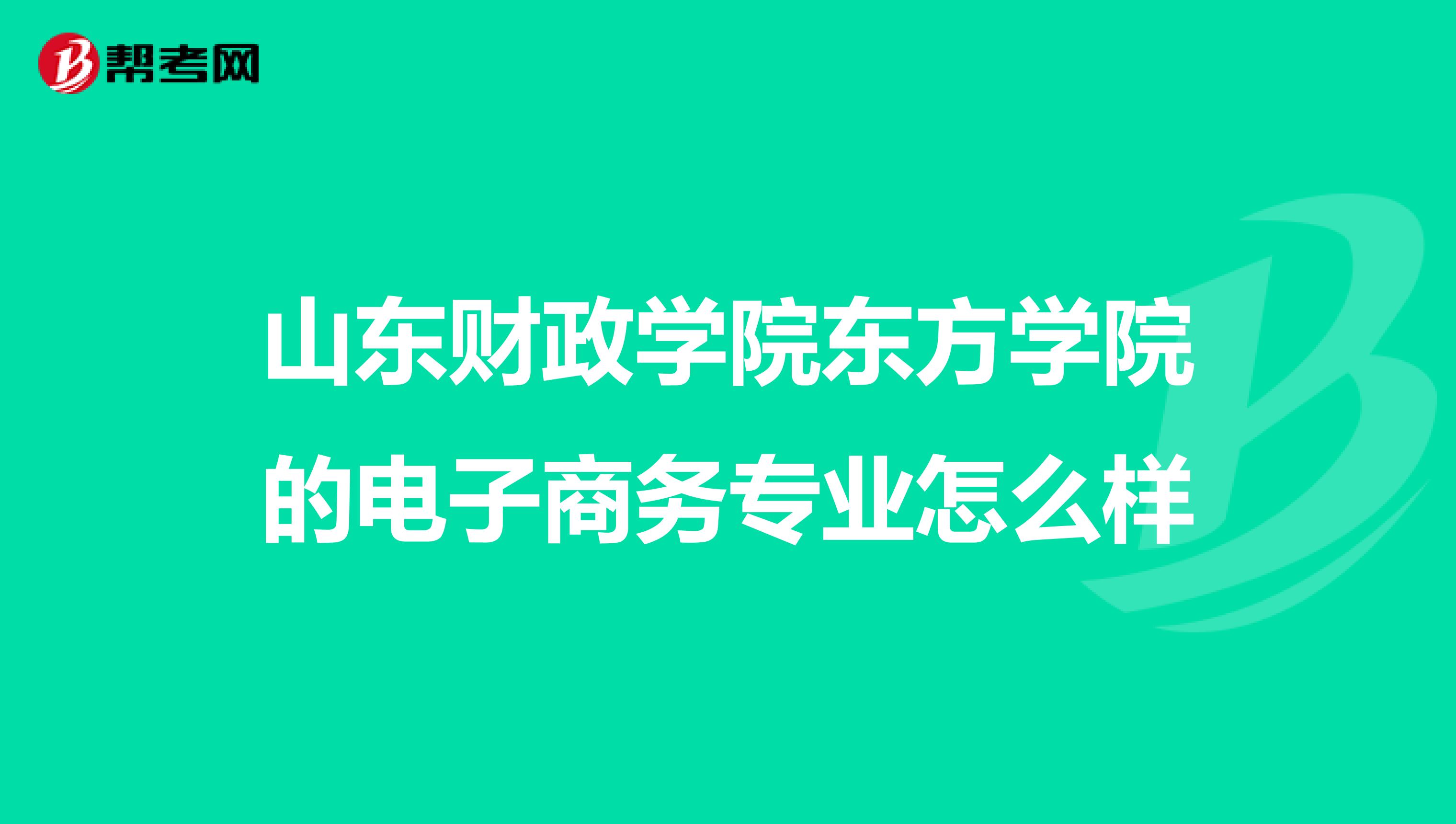 山东财政学院东方学院的电子商务专业怎么样