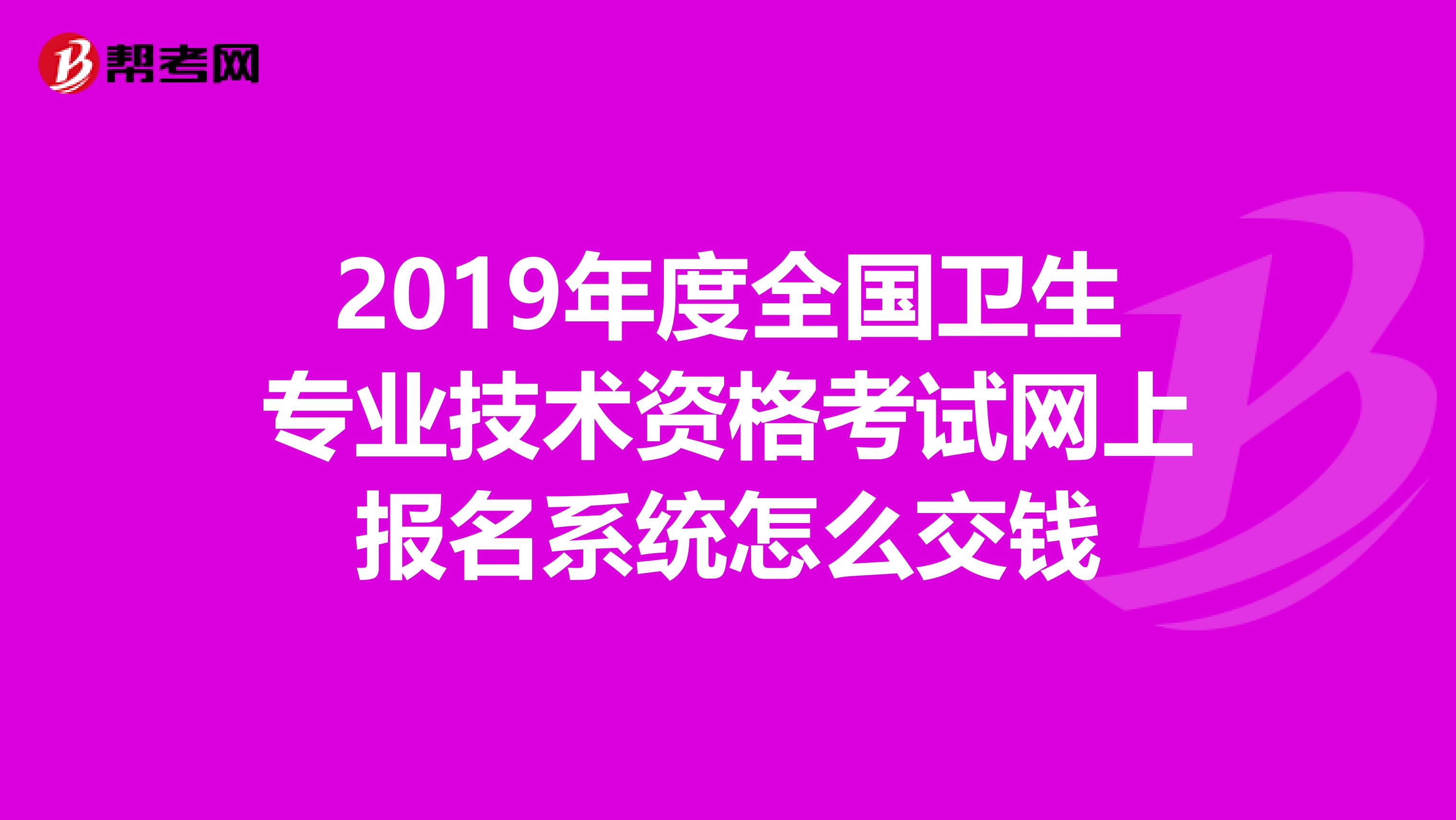 2019年度全国卫生专业技术资格考试网上报名系统怎么交钱