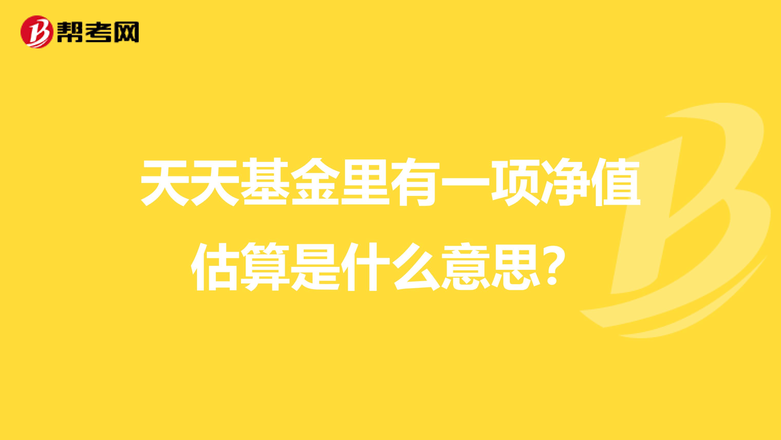 天天基金里有一项净值估算是什么意思?