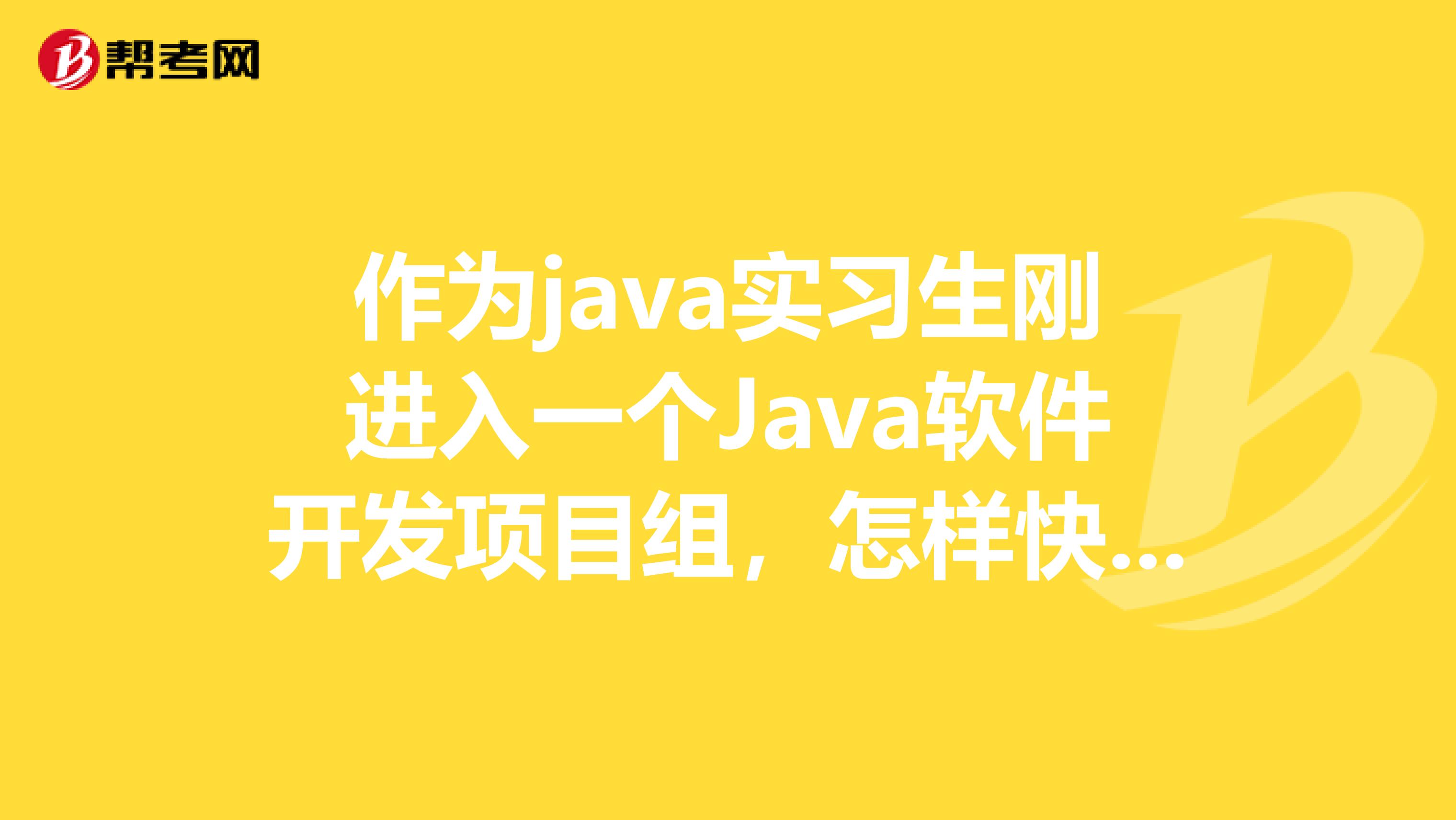作为java实习生刚进入一个Java软件开发项目组,怎样快速的了解整个项目并融入团队开发???