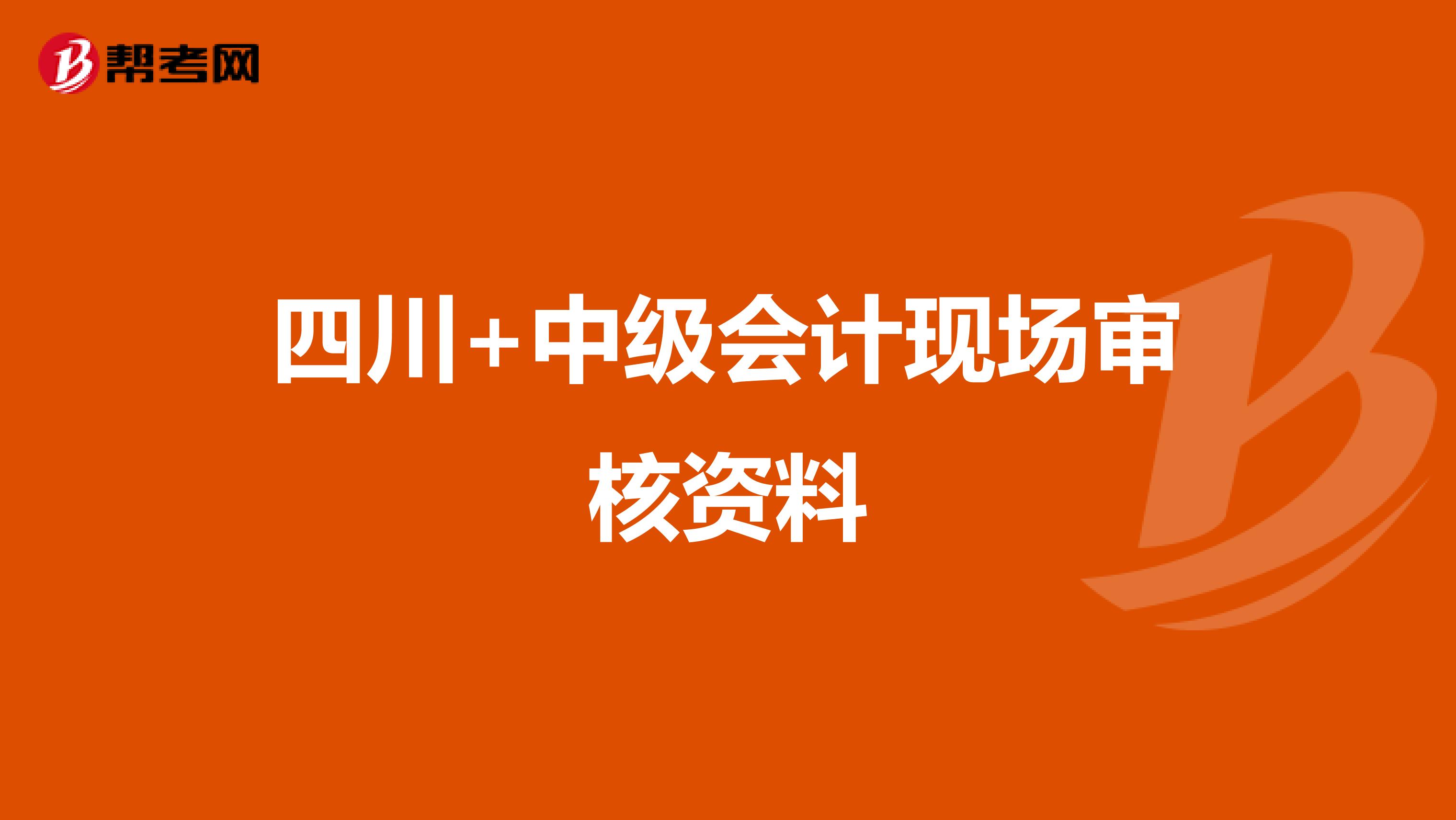 四川+中级会计现场审核资料