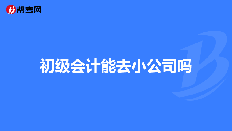 初级会计能去小公司吗