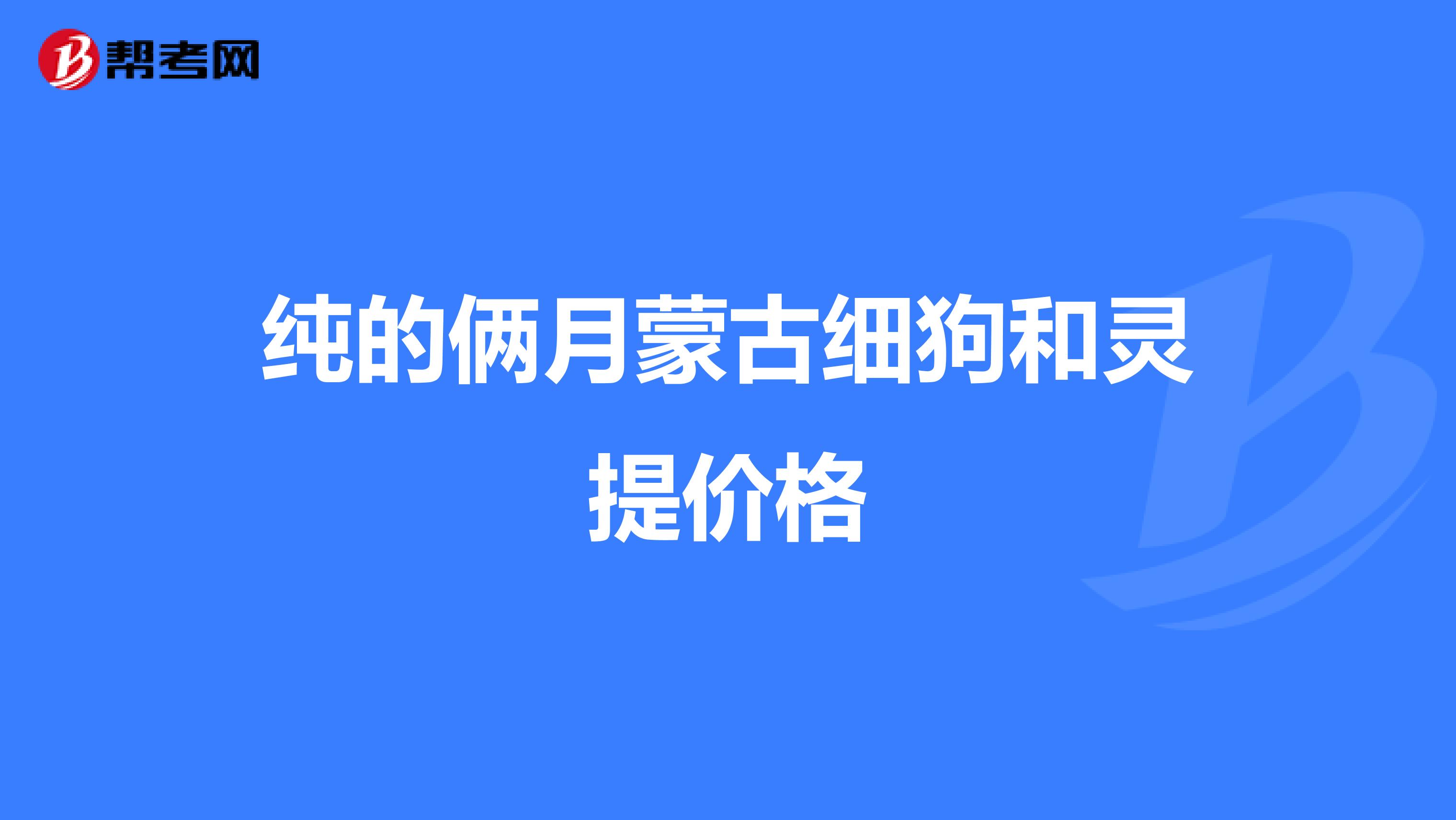 纯的俩月蒙古细狗和灵提价格