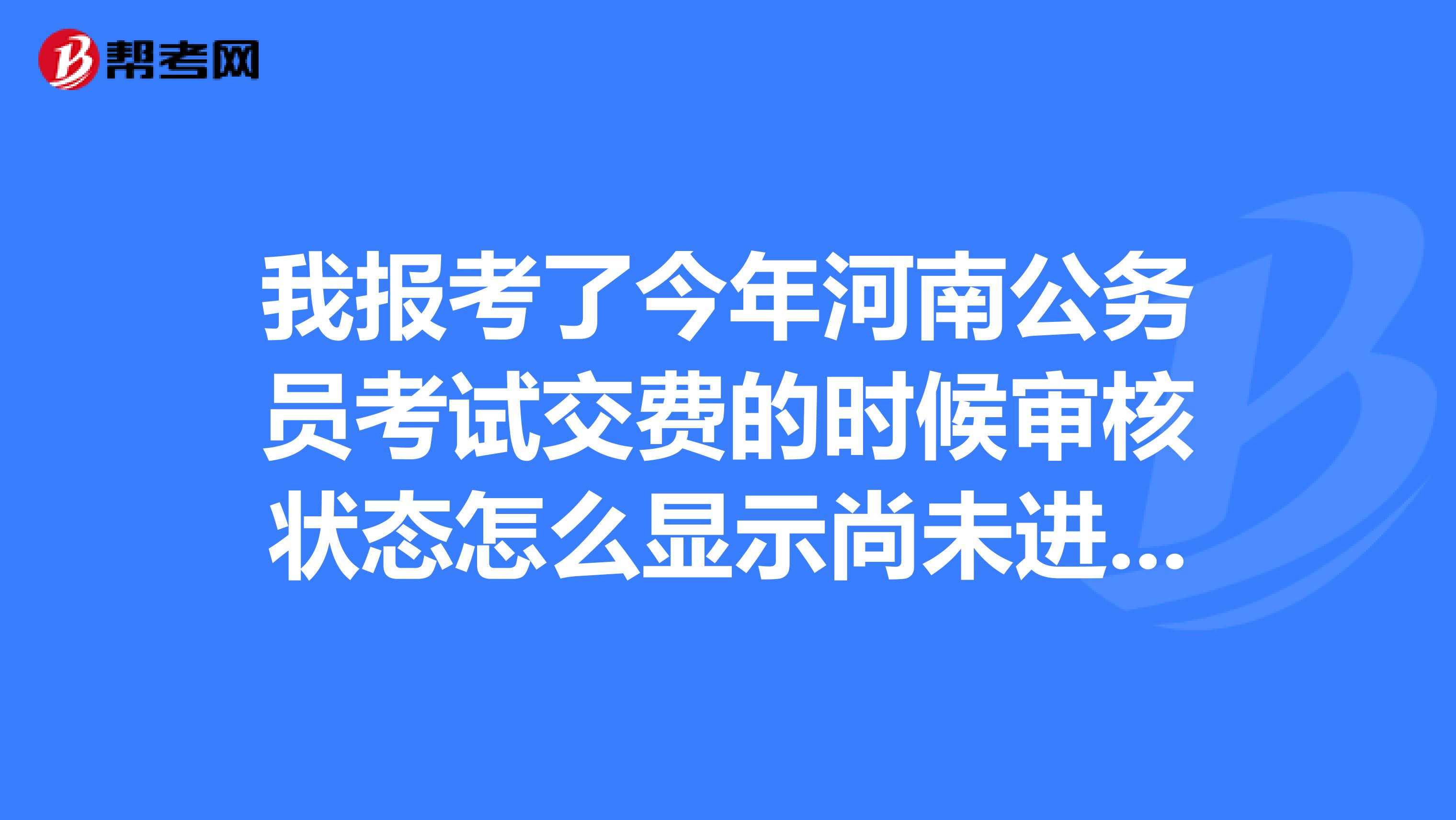 我报考了今年河南公务员考试交费的时候审核状态怎么显示尚未进行信息审核是什么意思呀