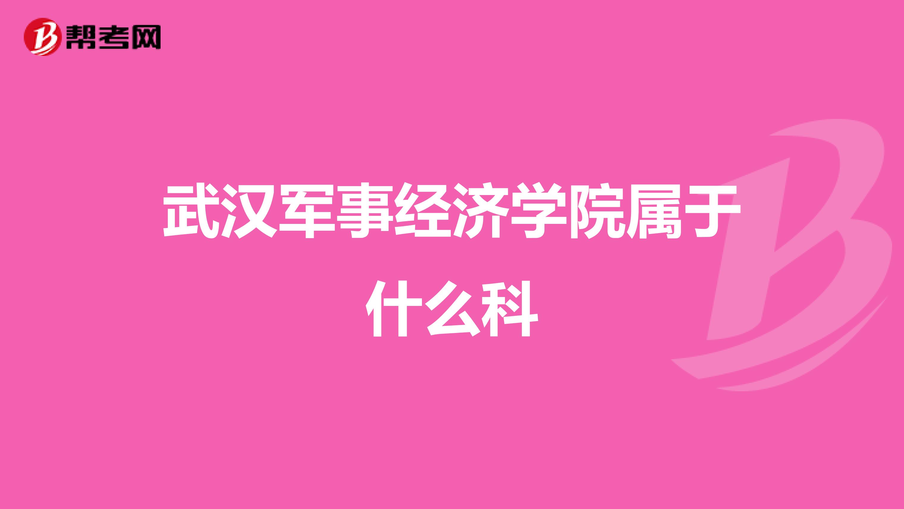 武汉军事经济学院属于什么科