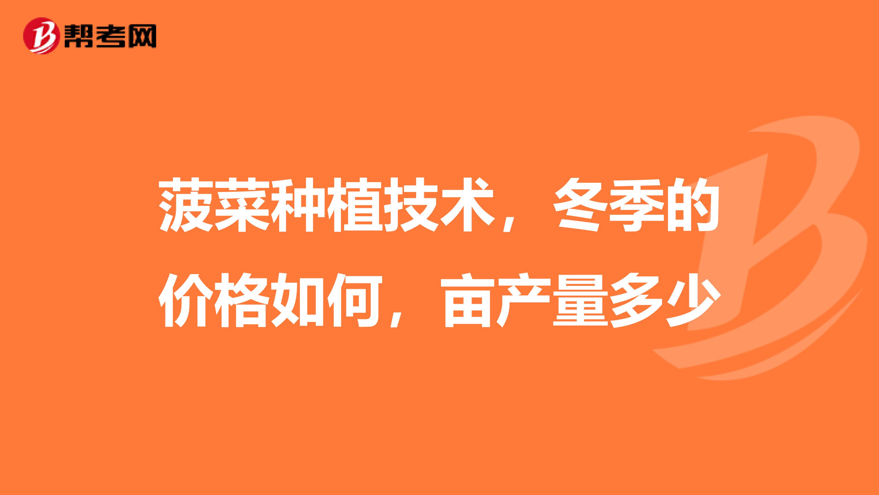 菠菜种植技术，冬季的价格如何，亩产量多少