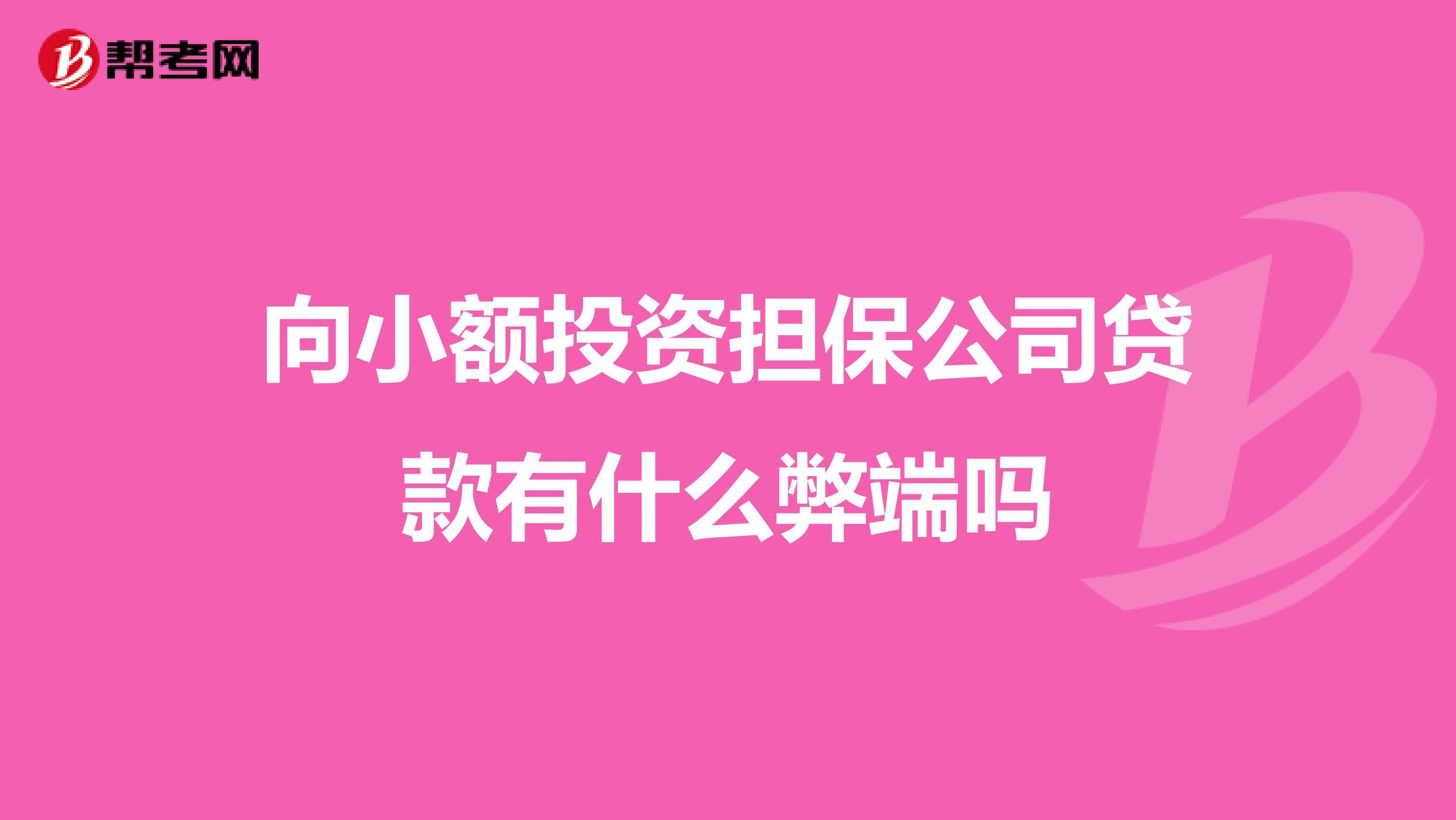 向小额投资担保公司贷款有什么弊端吗