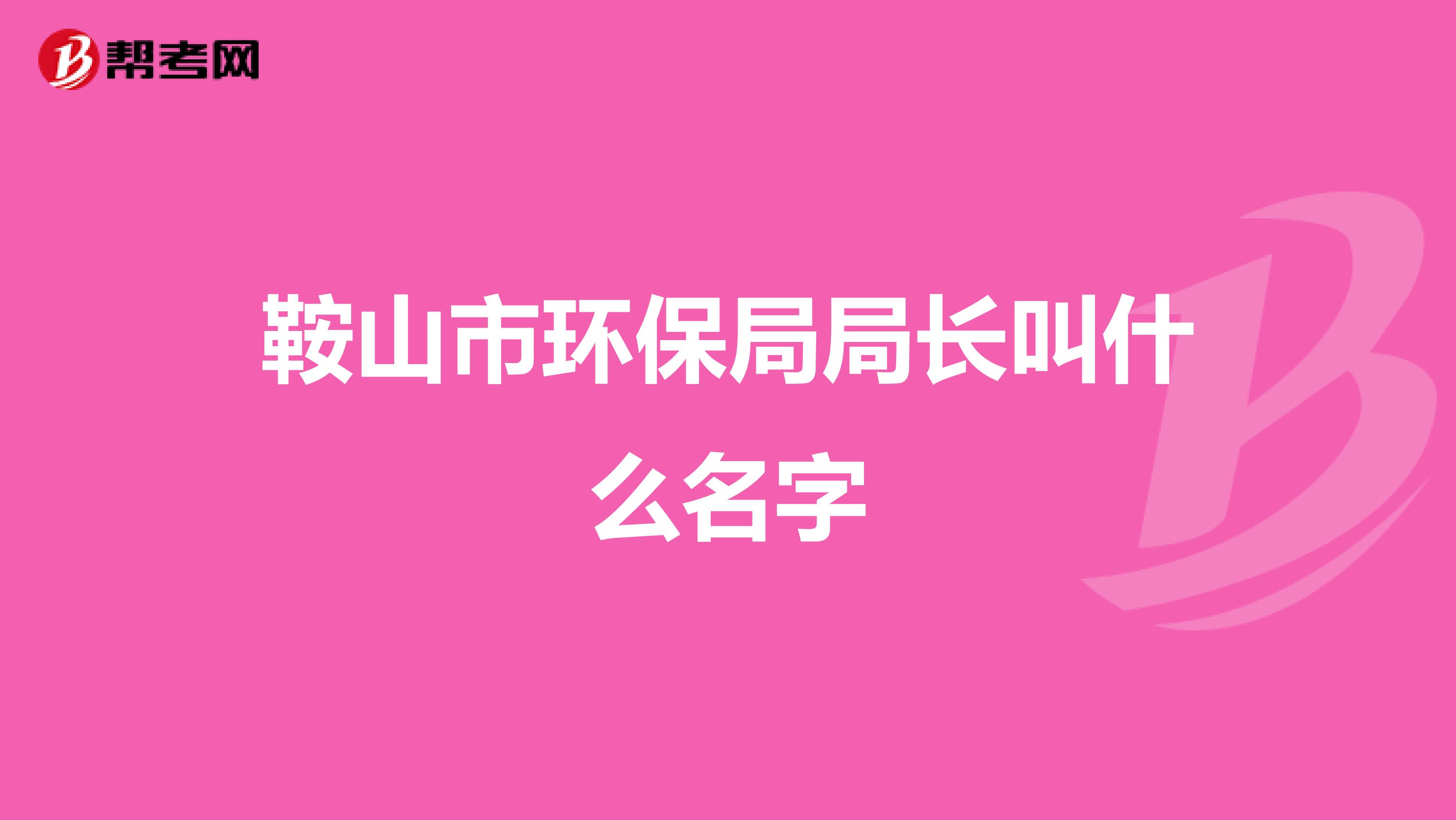 鞍山市环保局局长叫什么名字