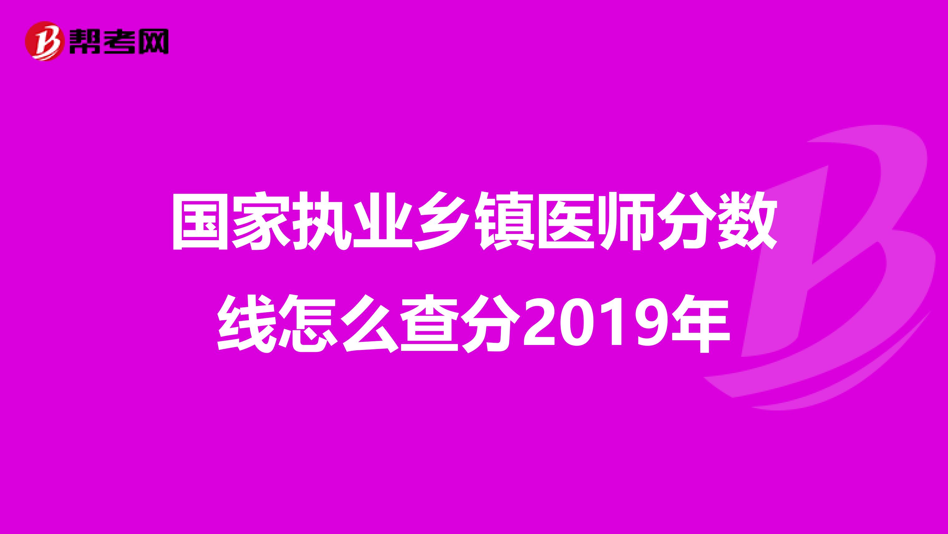 国家执业乡镇医师分数线怎么查分2019年