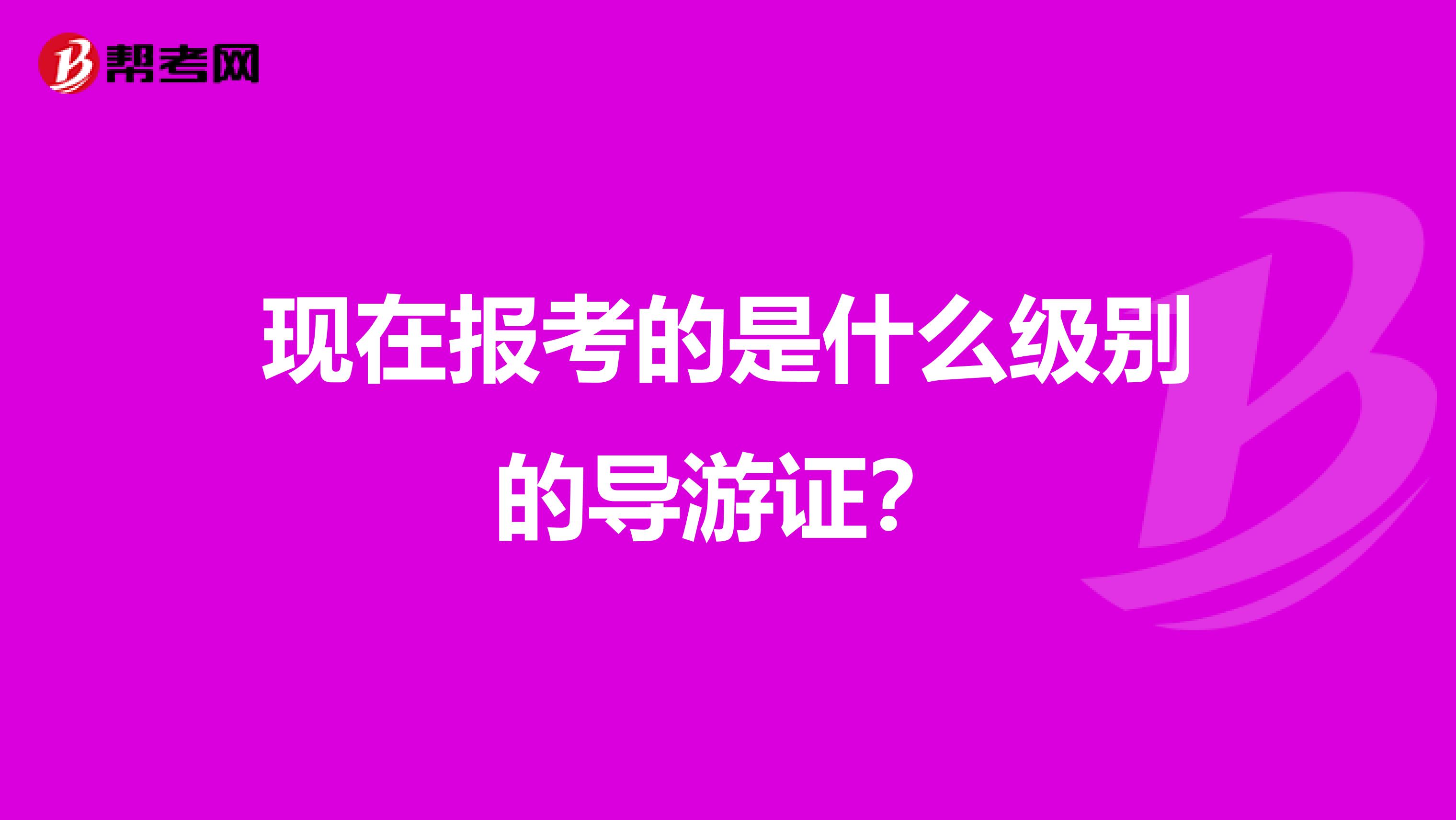 现在报考的是什么级别的导游证？