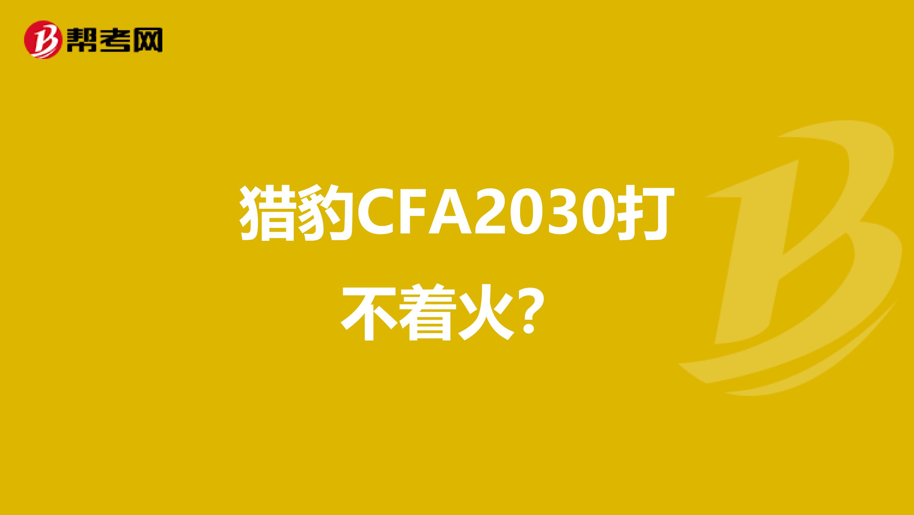猎豹CFA2030打不着火?