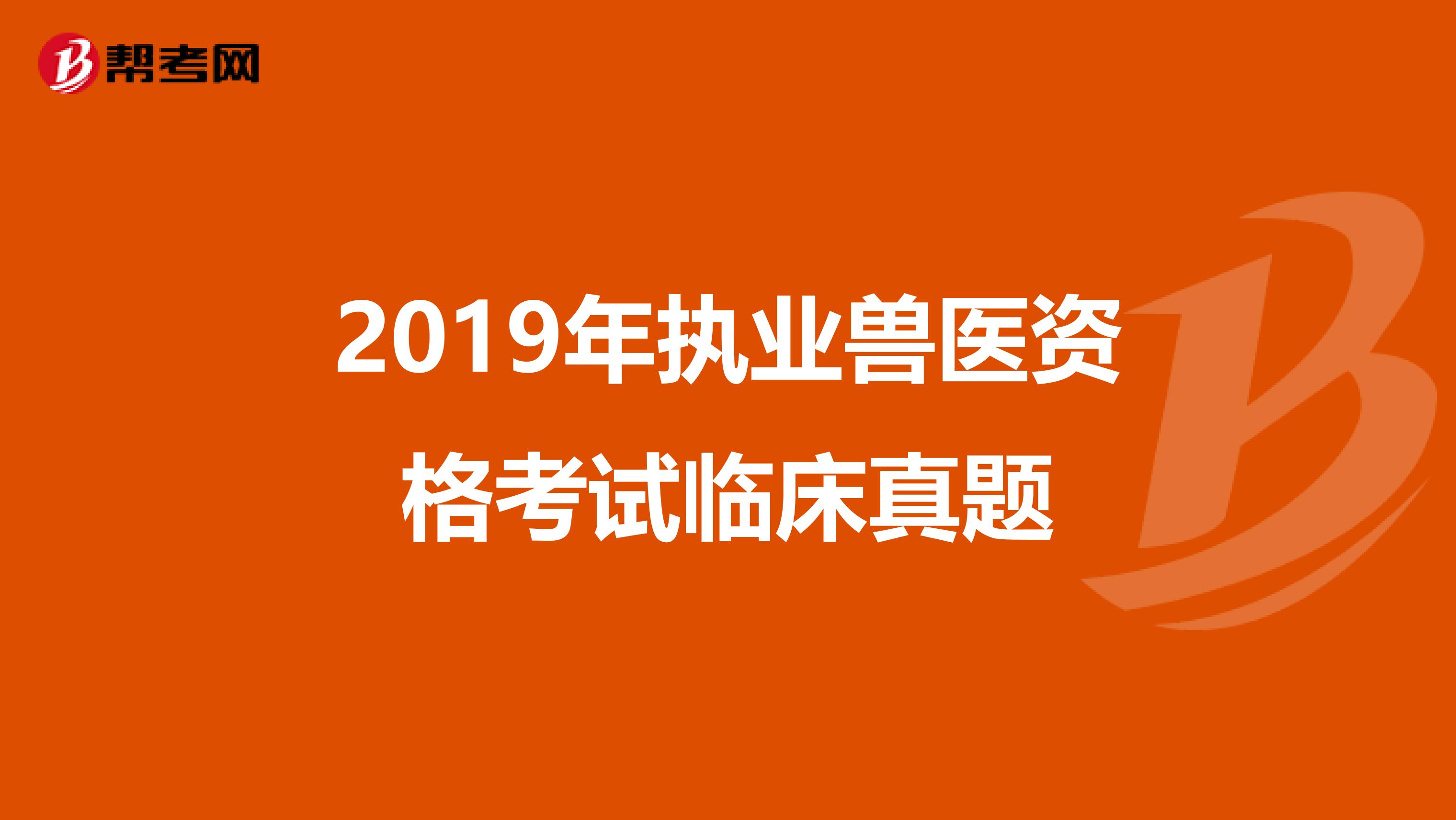 2019年执业兽医资格考试临床真题