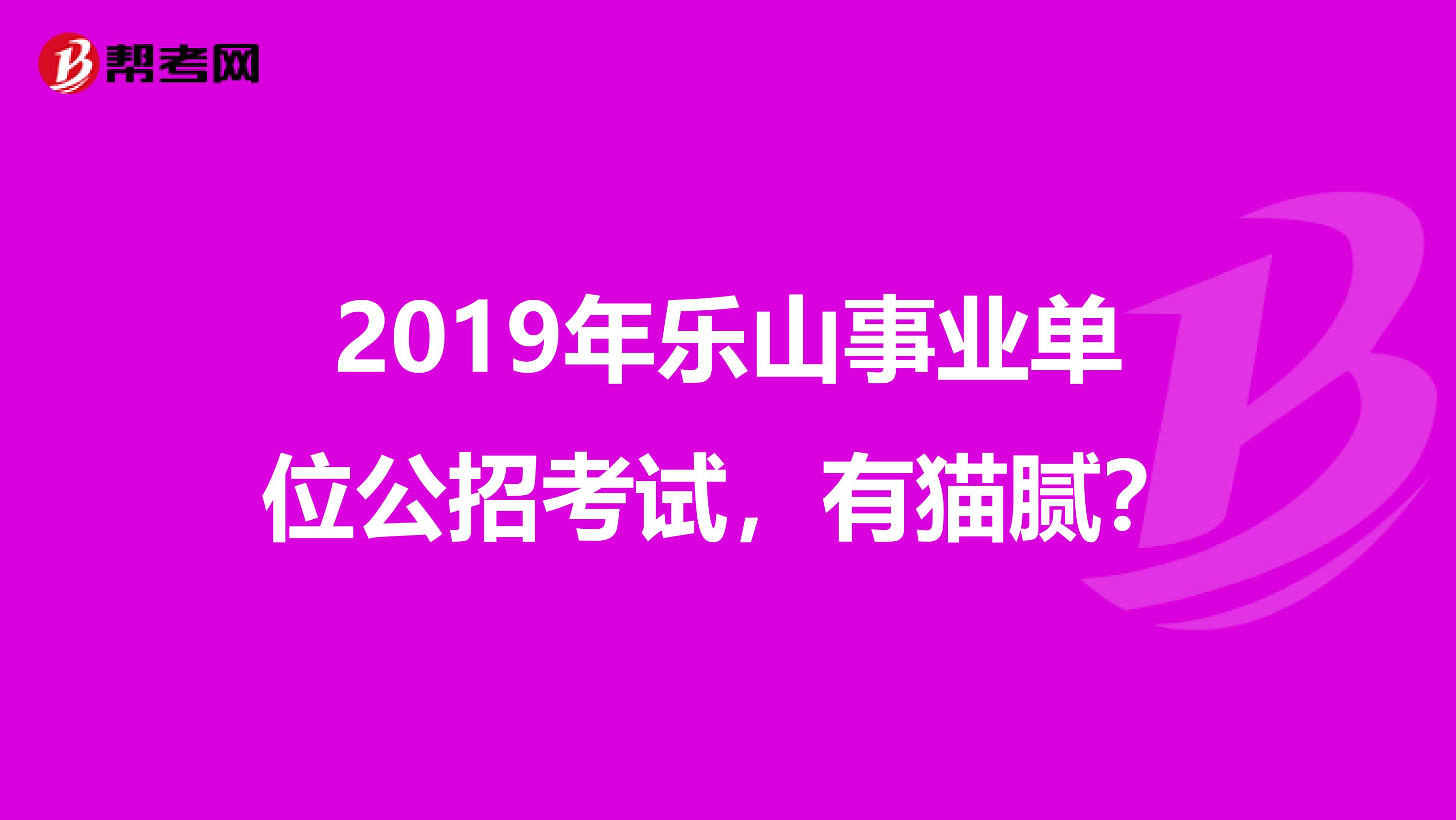 2019年乐山事业单位公招考试,有猫腻?