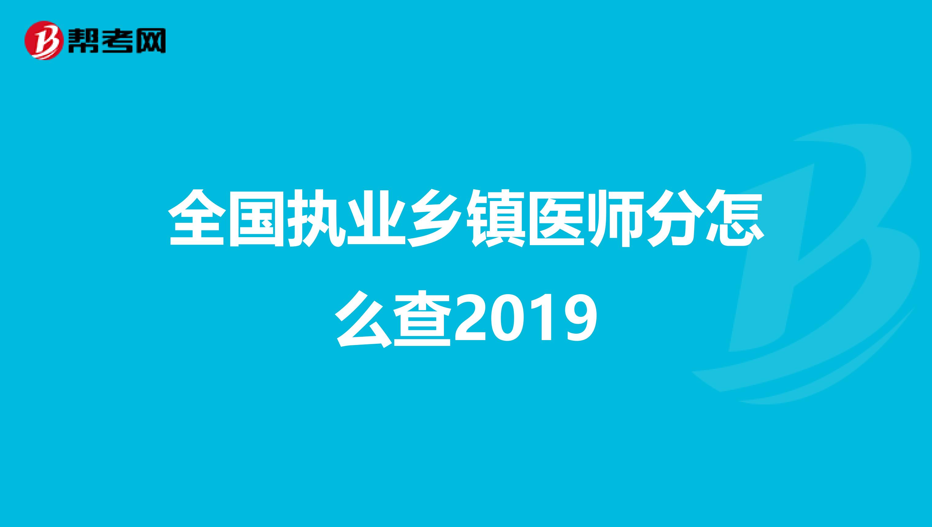 全国执业乡镇医师分怎么查2019