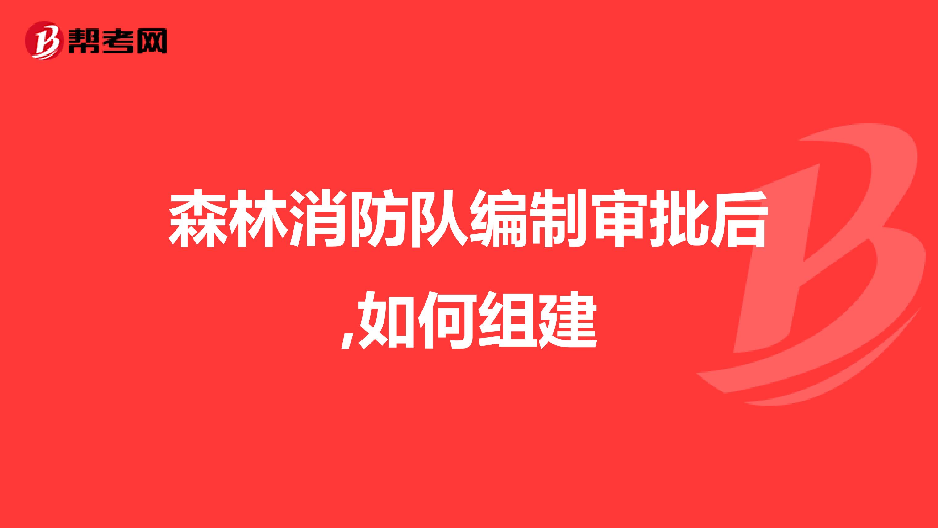 森林消防隊編制審批后,如何組建