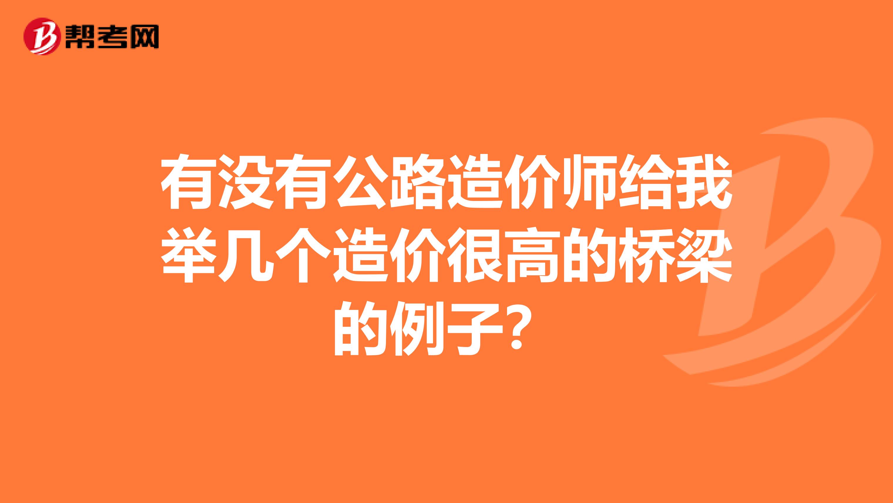 有没有公路造价师给我举几个造价很高的桥梁的例子?