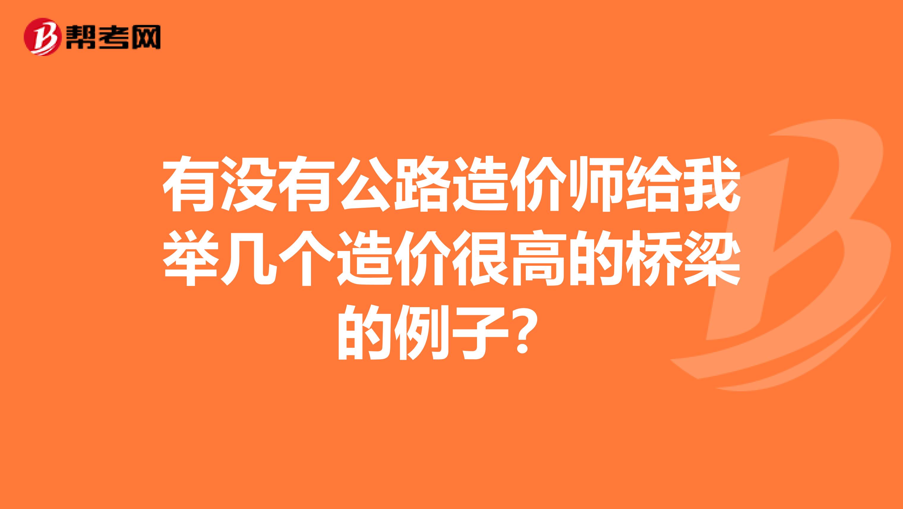 有没有公路造价师给我举几个造价很高的桥梁的例子？