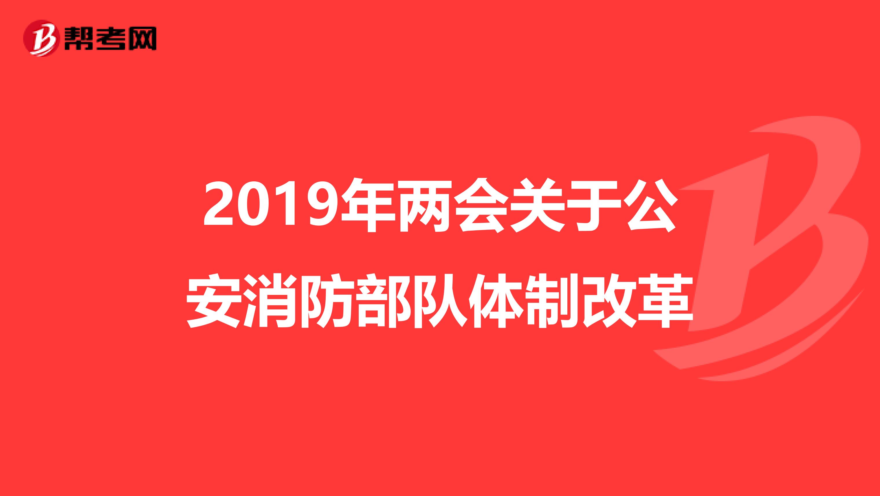 2019年两会关于公安消防部队体制改革