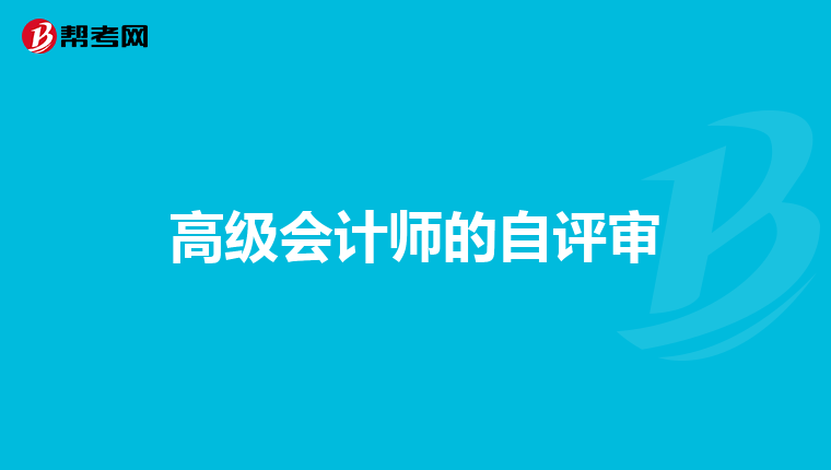 高级会计师的自评审