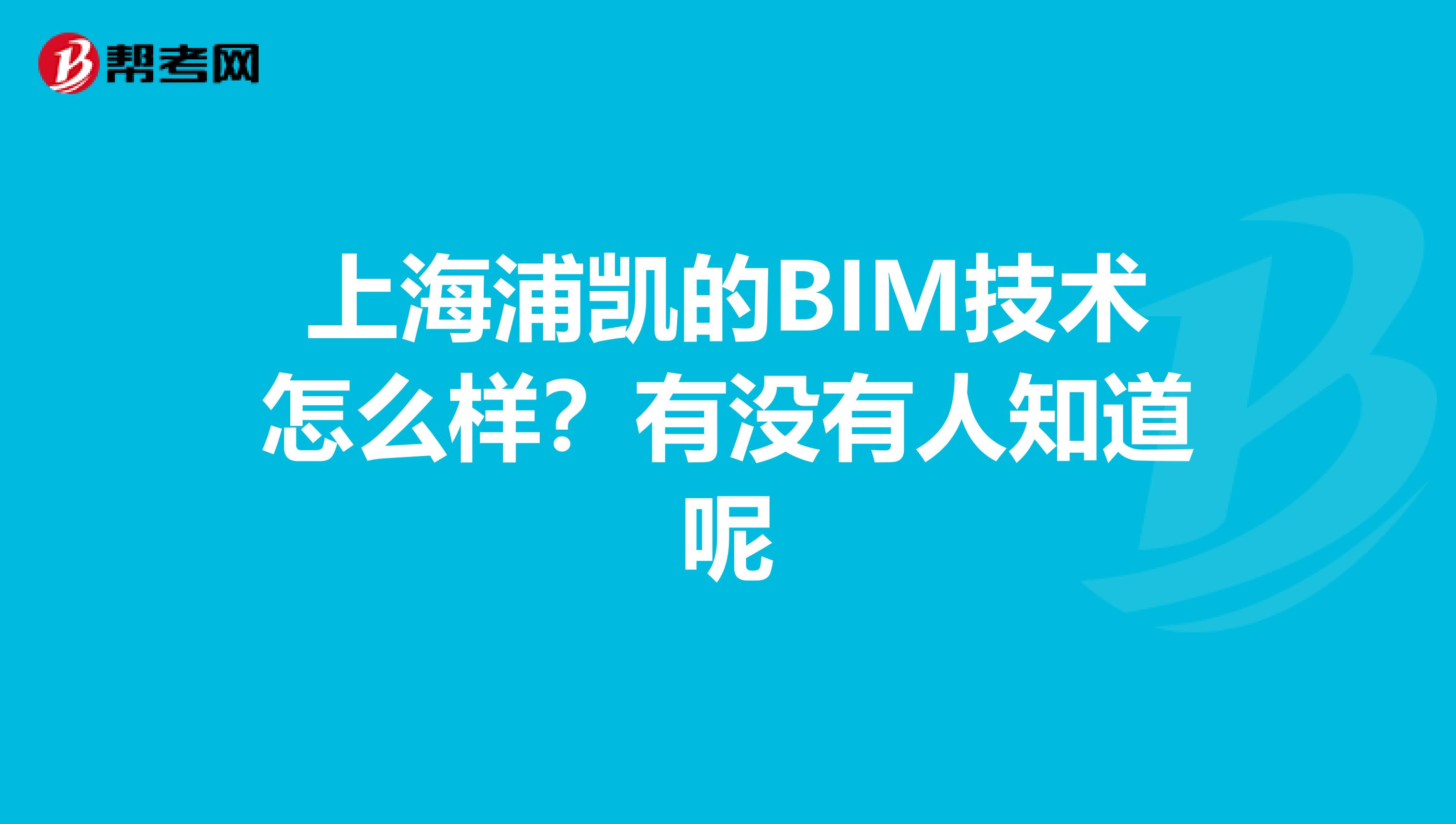 上海浦凯的BIM技术怎么样?有没有人知道呢