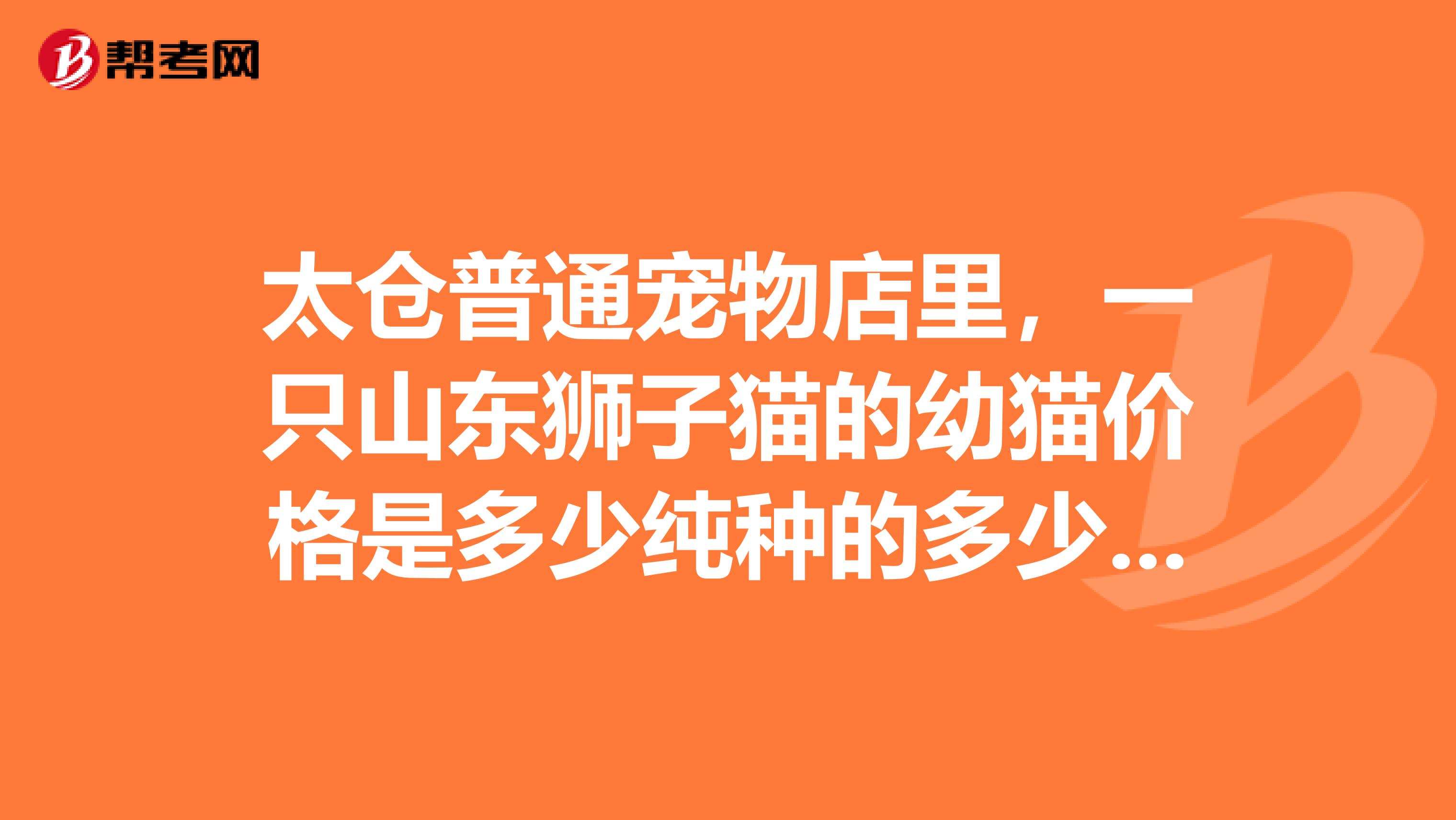 太仓普通宠物店里，一只山东狮子猫的幼猫价格是多少纯种的多少钱不纯种的多少钱