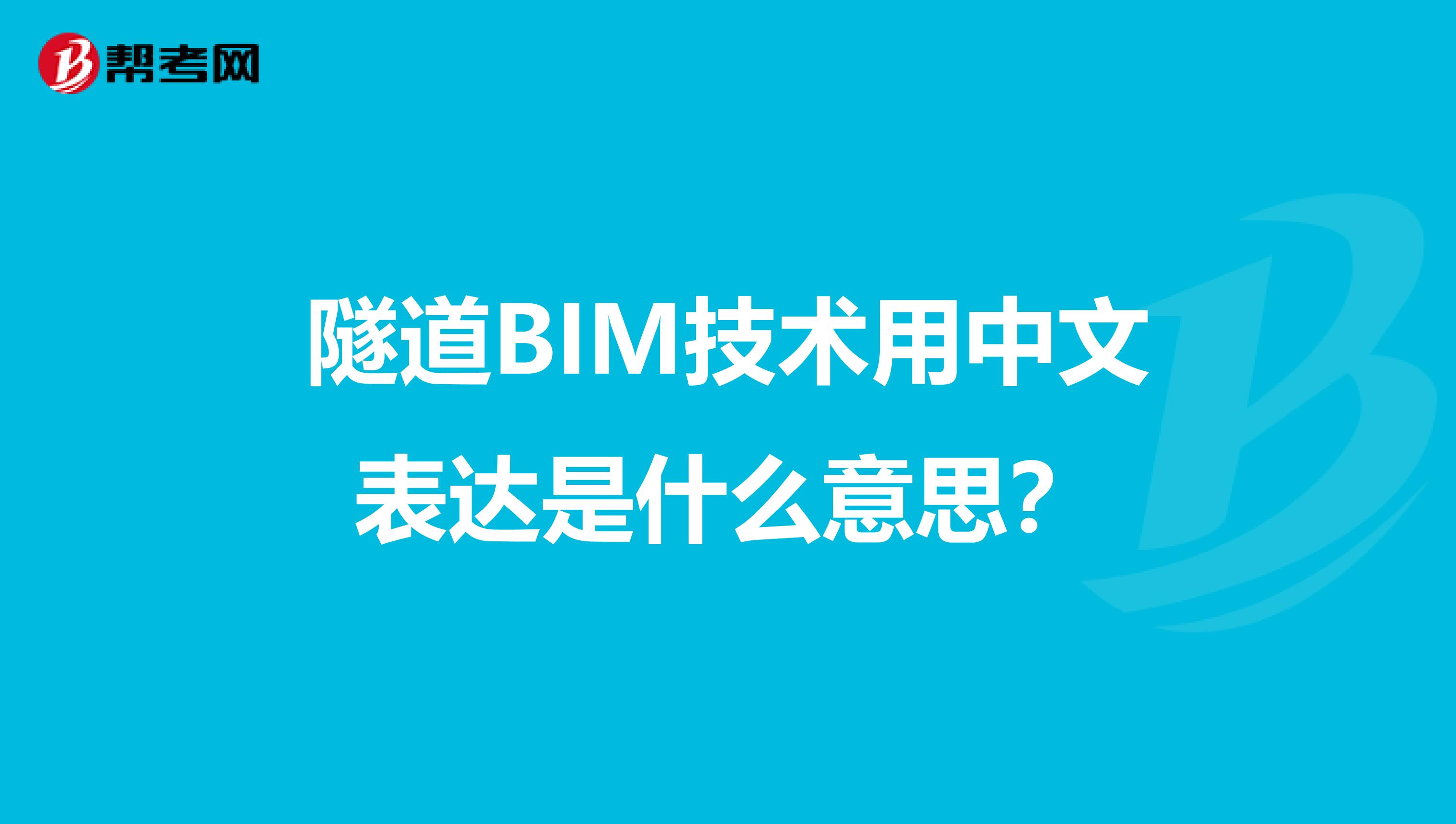 隧道BIM技术用中文表达是什么意思?