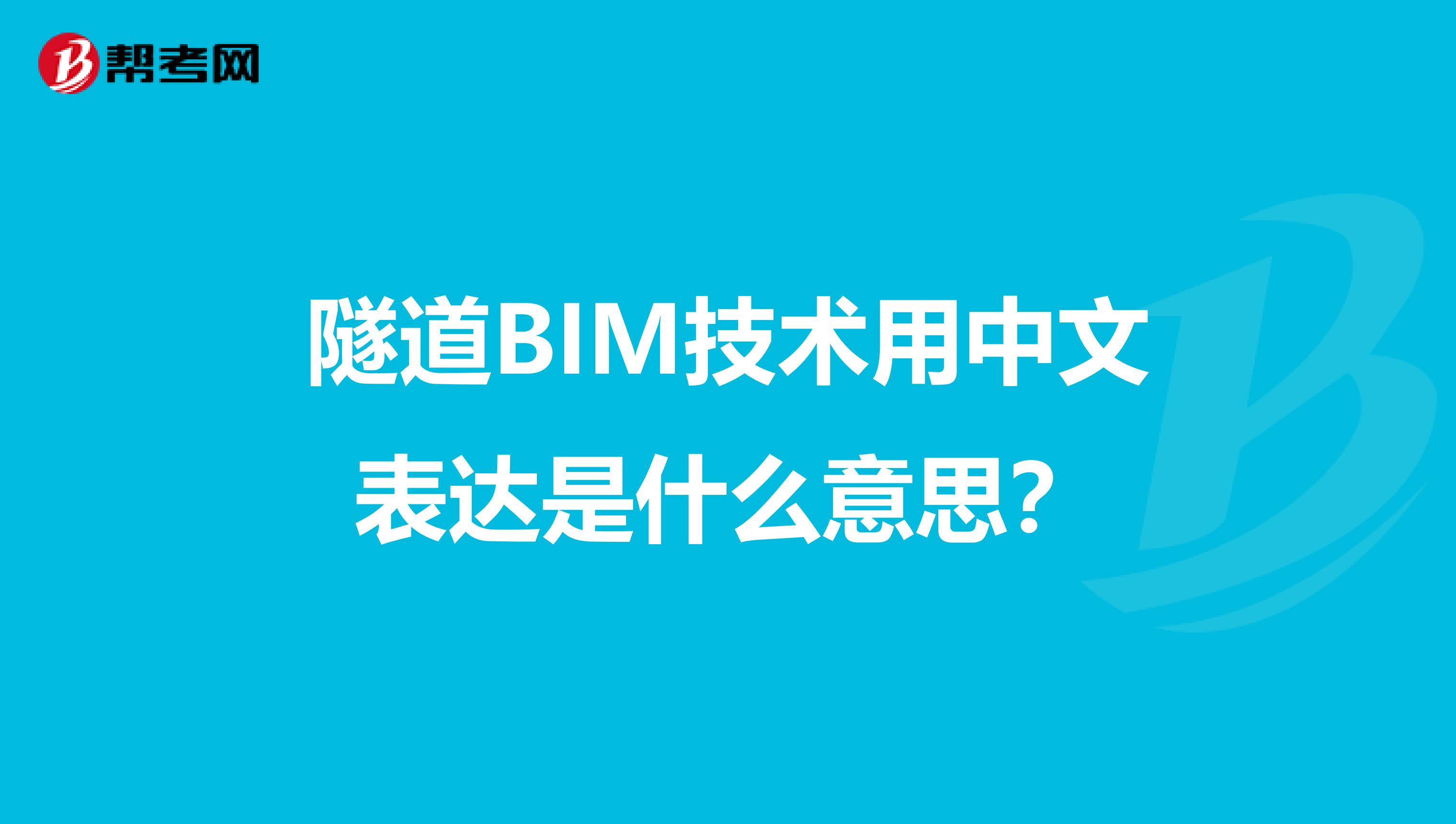 隧道BIM技术用中文表达是什么意思？