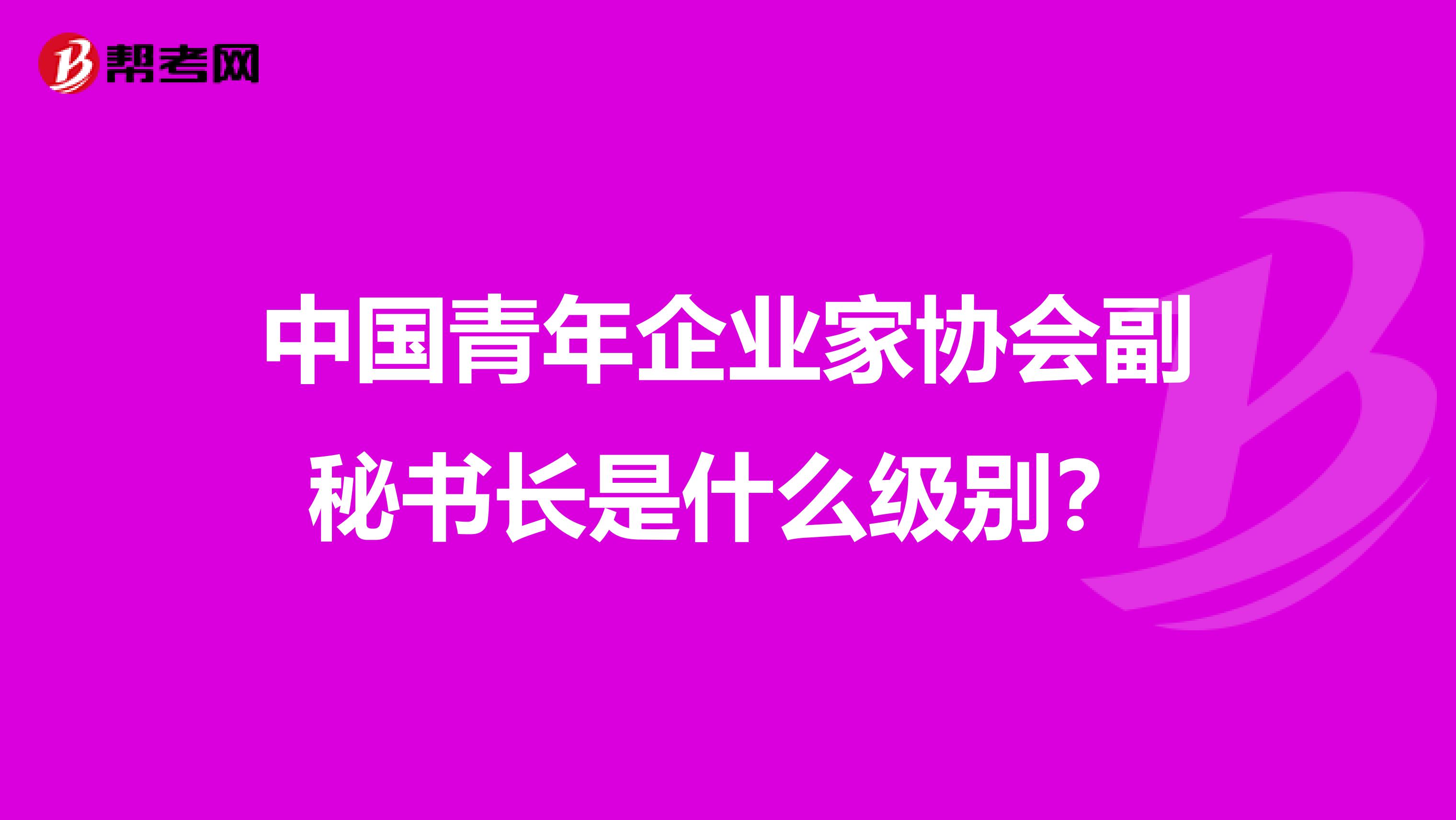 中国青年企业家协会副秘书长是什么级别?