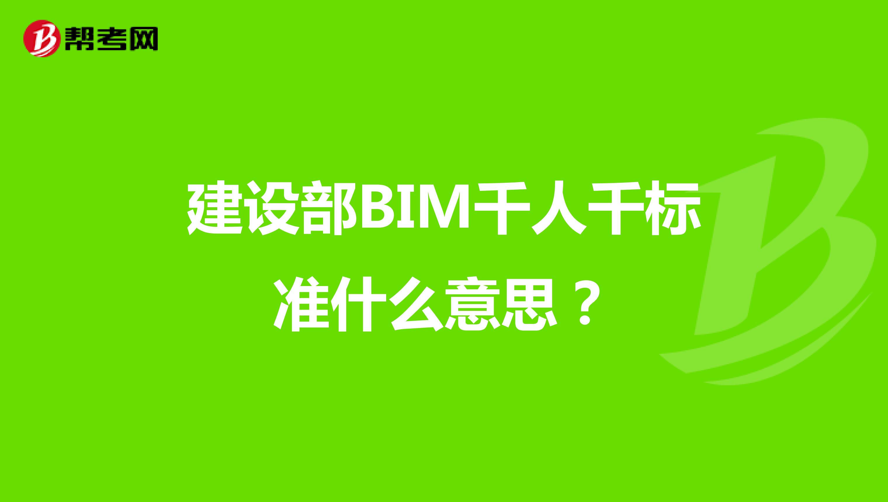 建设部BIM千人千标准什么意思?