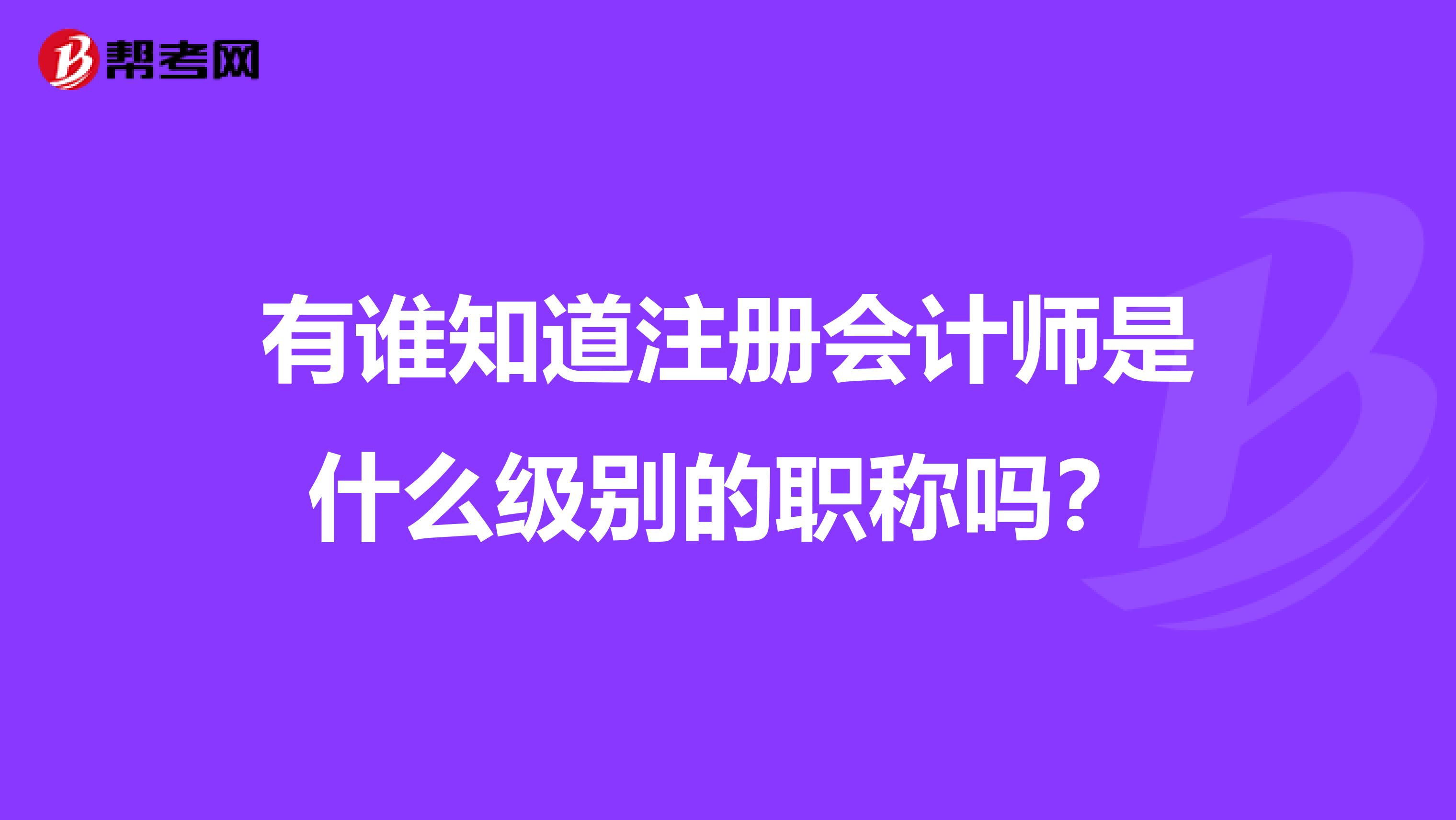 有谁知道注册会计师是什么级别的职称吗？