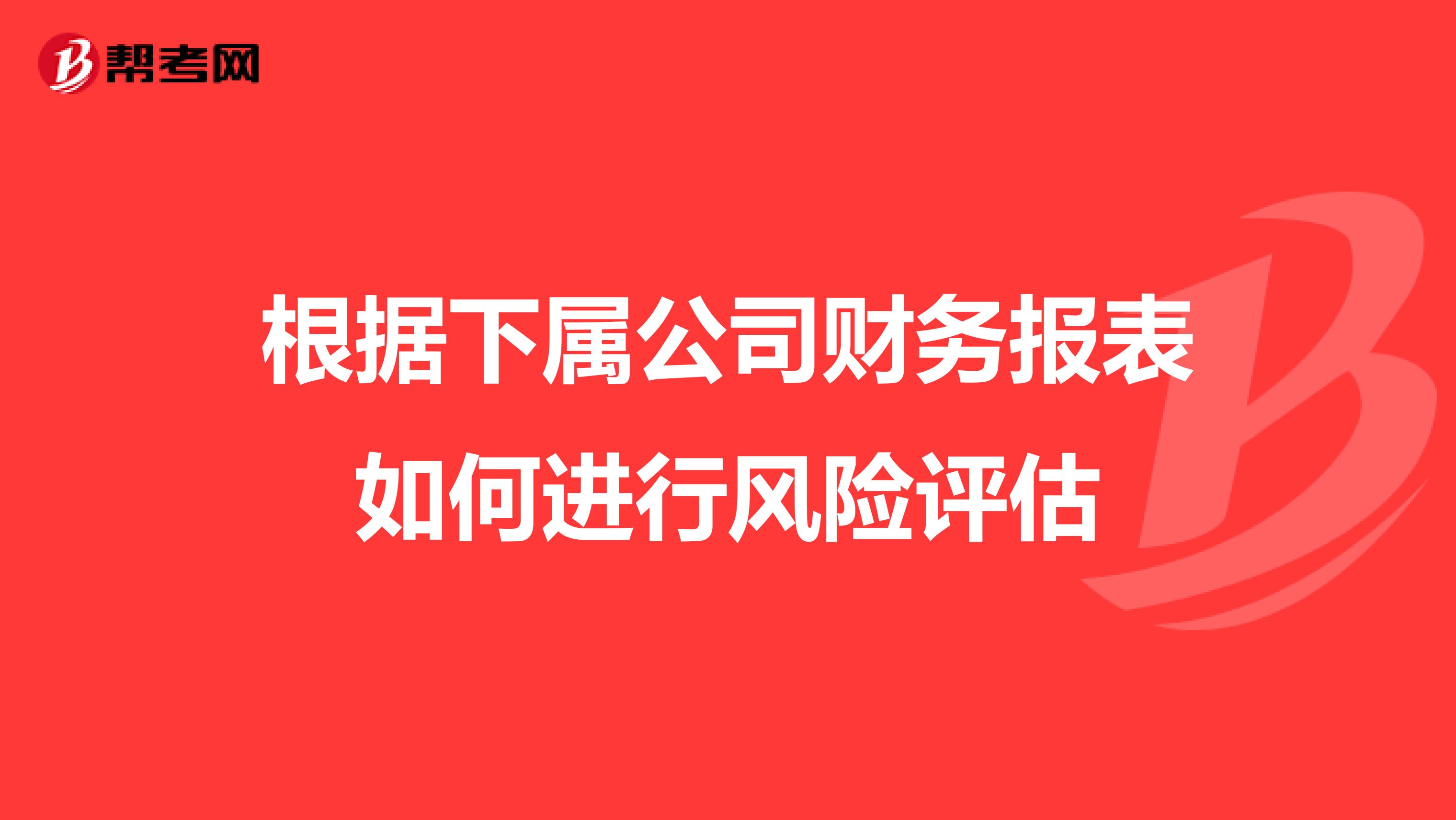 根据下属公司财务报表如何进行风险评估