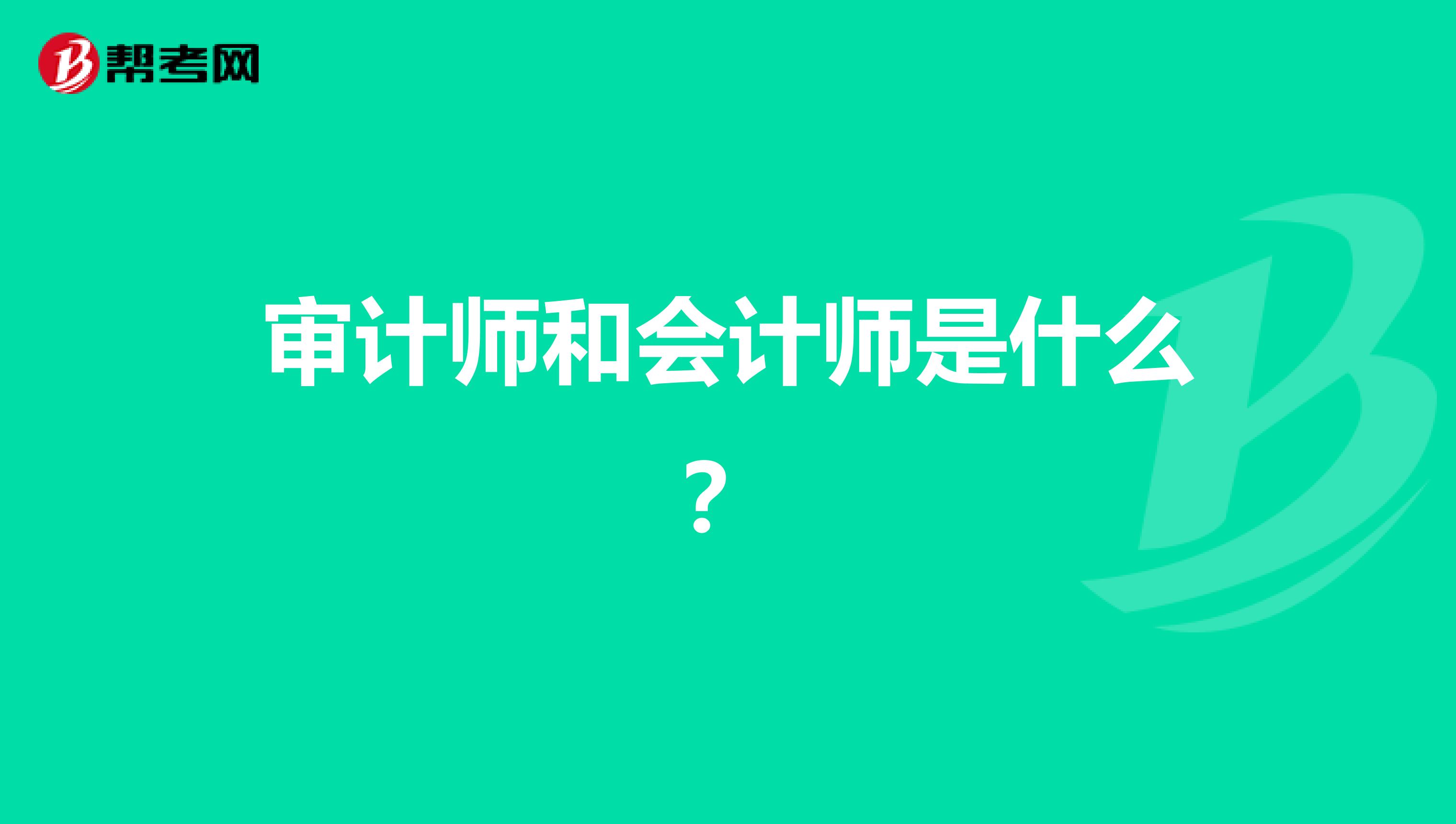 审计师和会计师是什么?