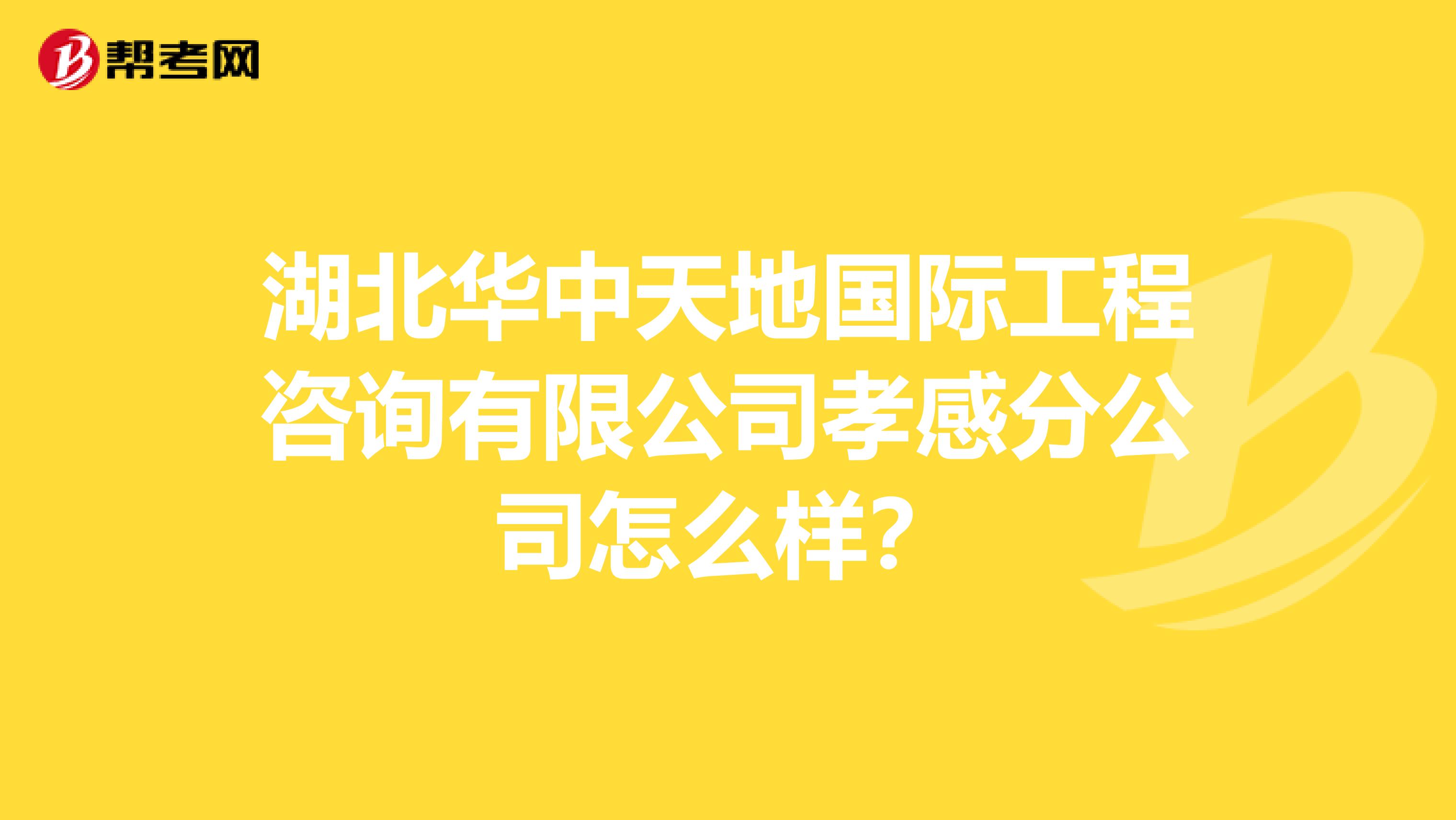 湖北华中天地国际工程咨询有限公司孝感分公司怎么样?