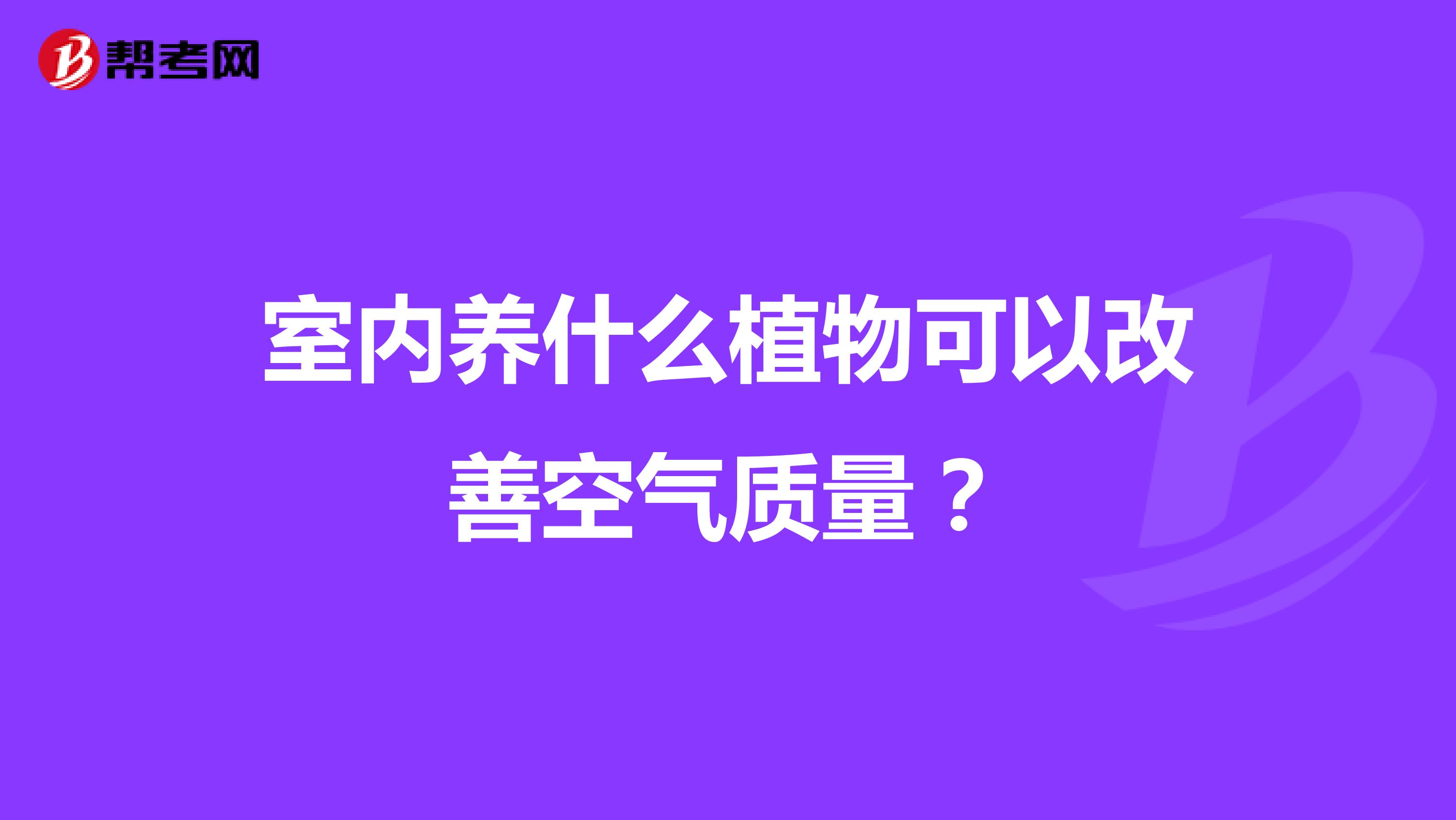 室内养什么植物可以改善空气质量？