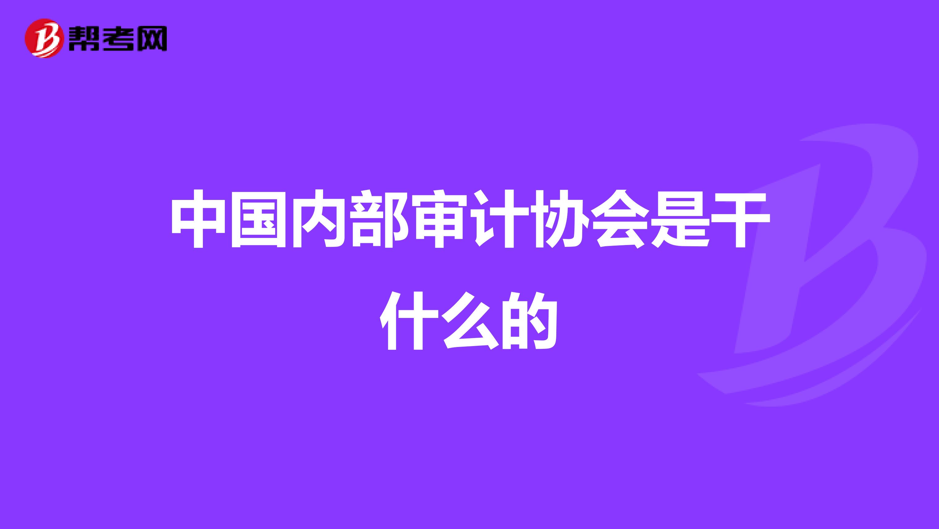 中国内部审计协会是干什么的