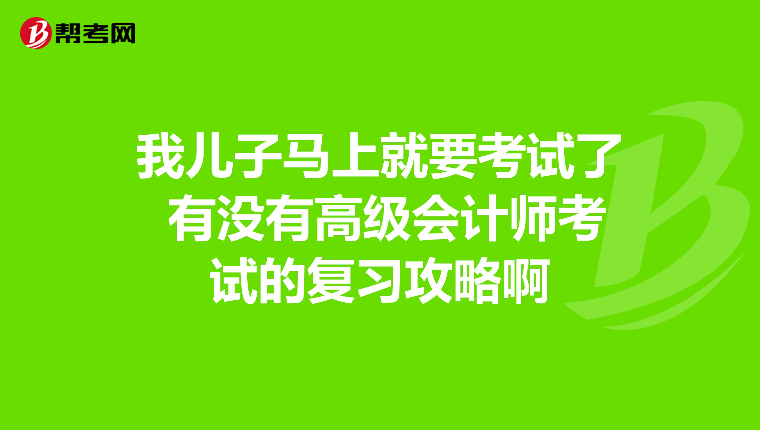 我儿子马上就要考试了 有没有高级会计师考试的复习攻略啊