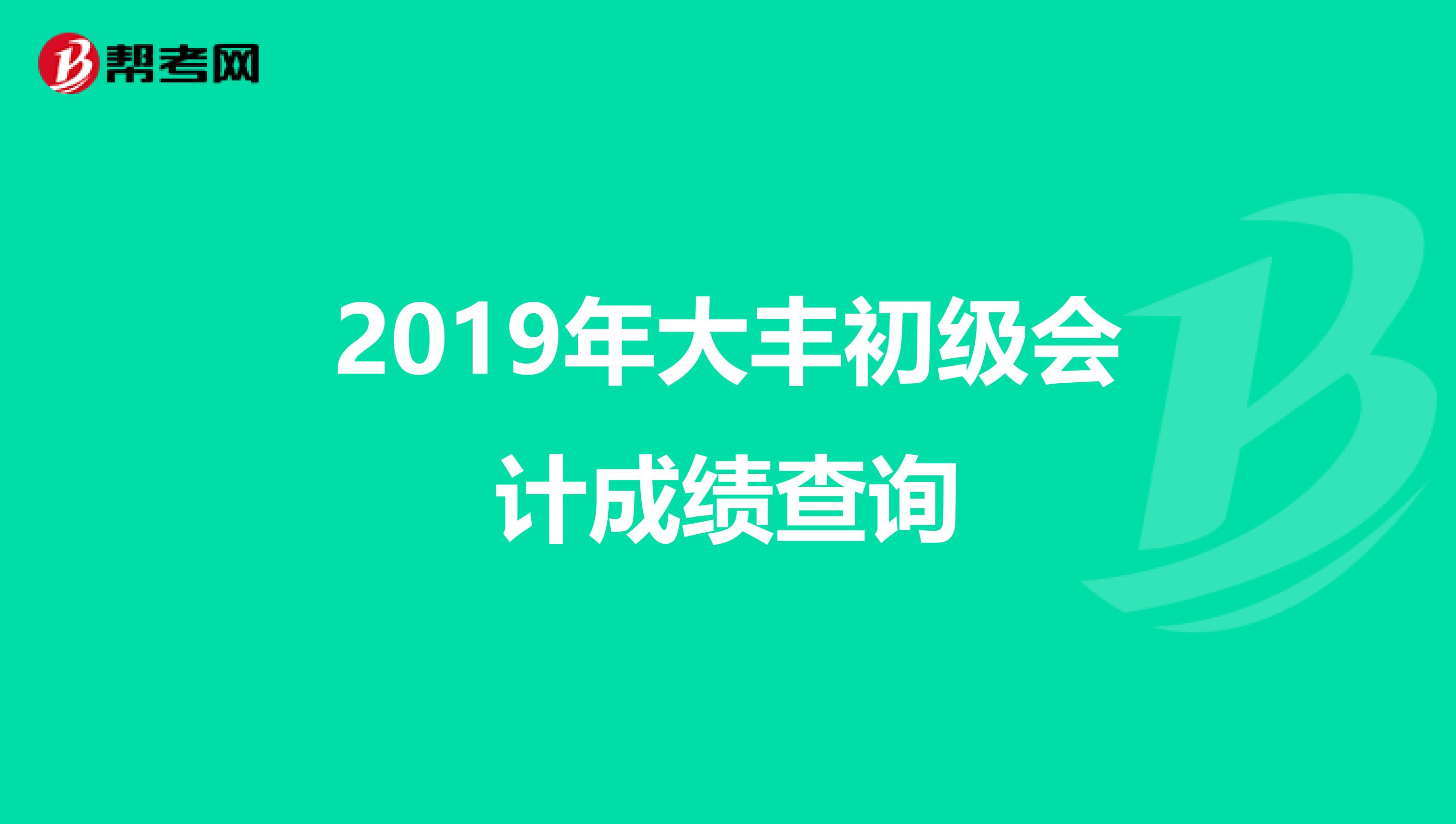 2019年大丰初级会计成绩查询