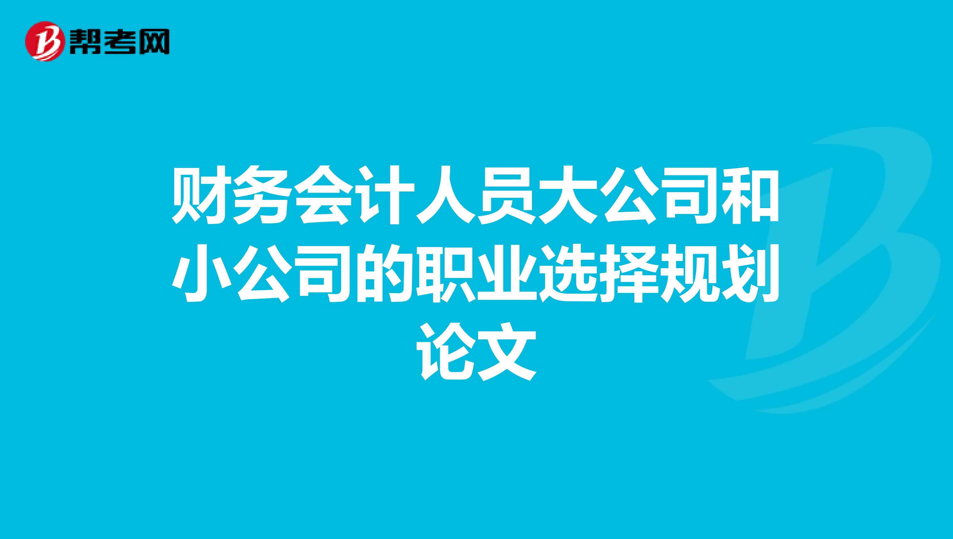 财务会计人员大公司和小公司的职业选择规划论文