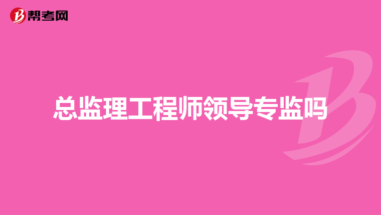 总监理工程师领导专监吗
