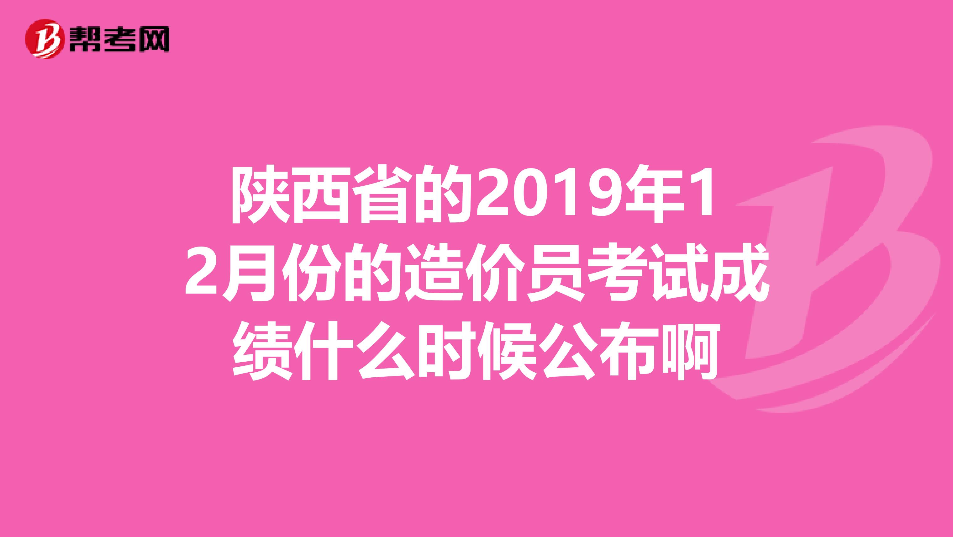陕西省的2019年12月份的造价员考试成绩什么时候公布啊