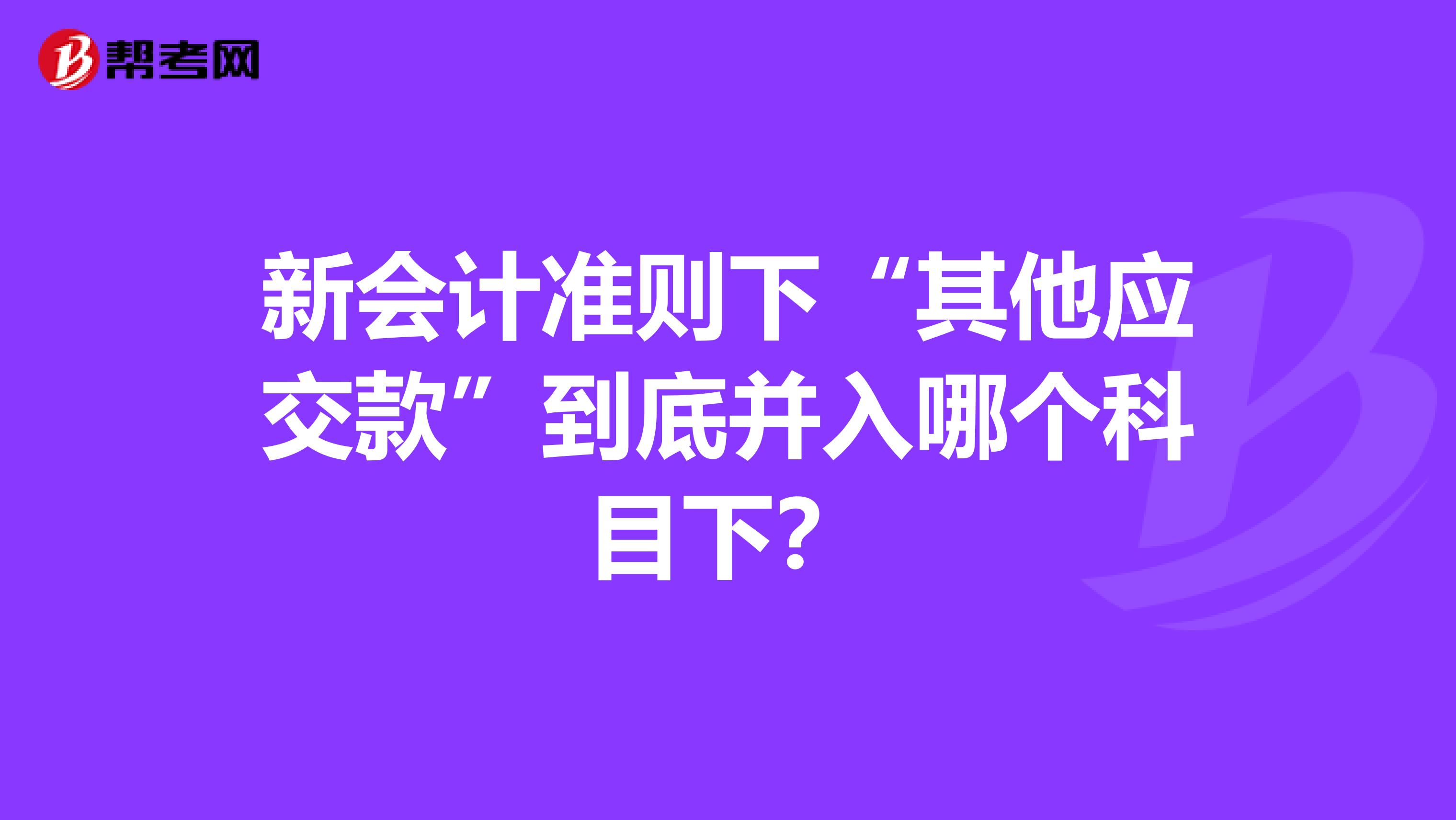 新会计准则下“其他应交款”到底并入哪个科目下？