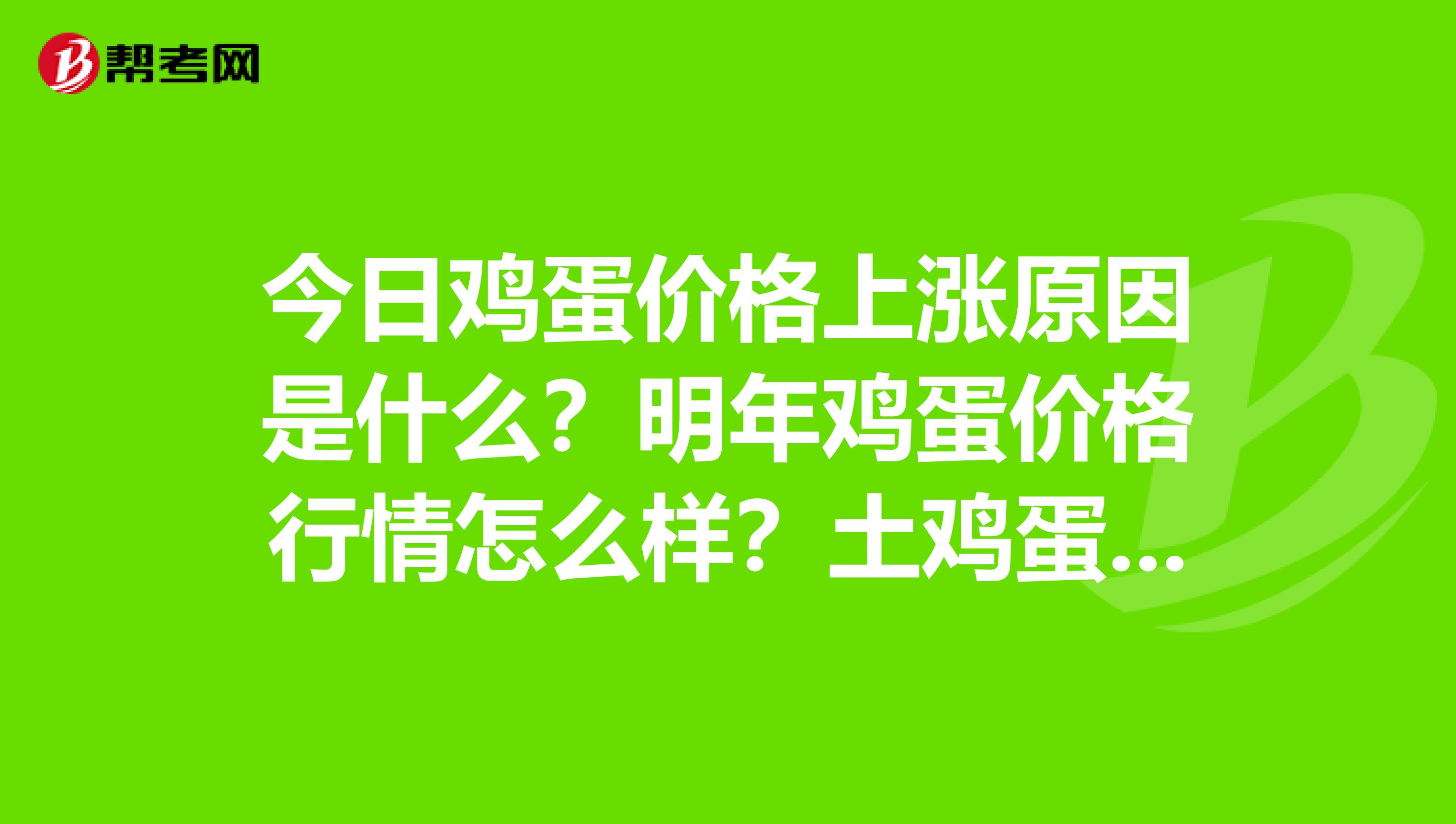 今日鸡蛋价格上涨原因是什么？明年鸡蛋价格行情怎么样？土鸡蛋价格走势？在哪里找鸡蛋批发商信息？养鸡能赚钱吗