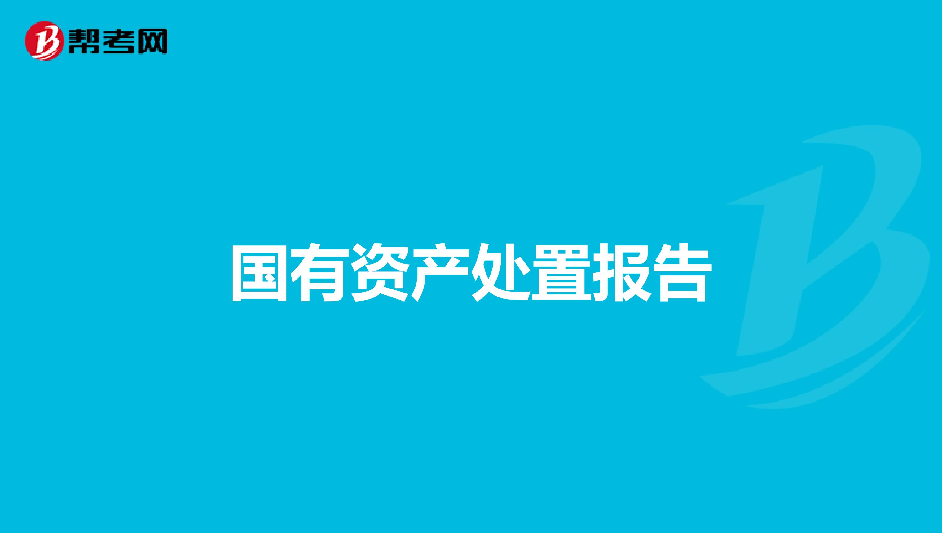 国有资产处置报告