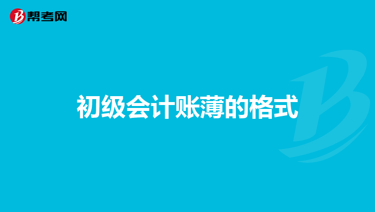 初级会计账薄的格式