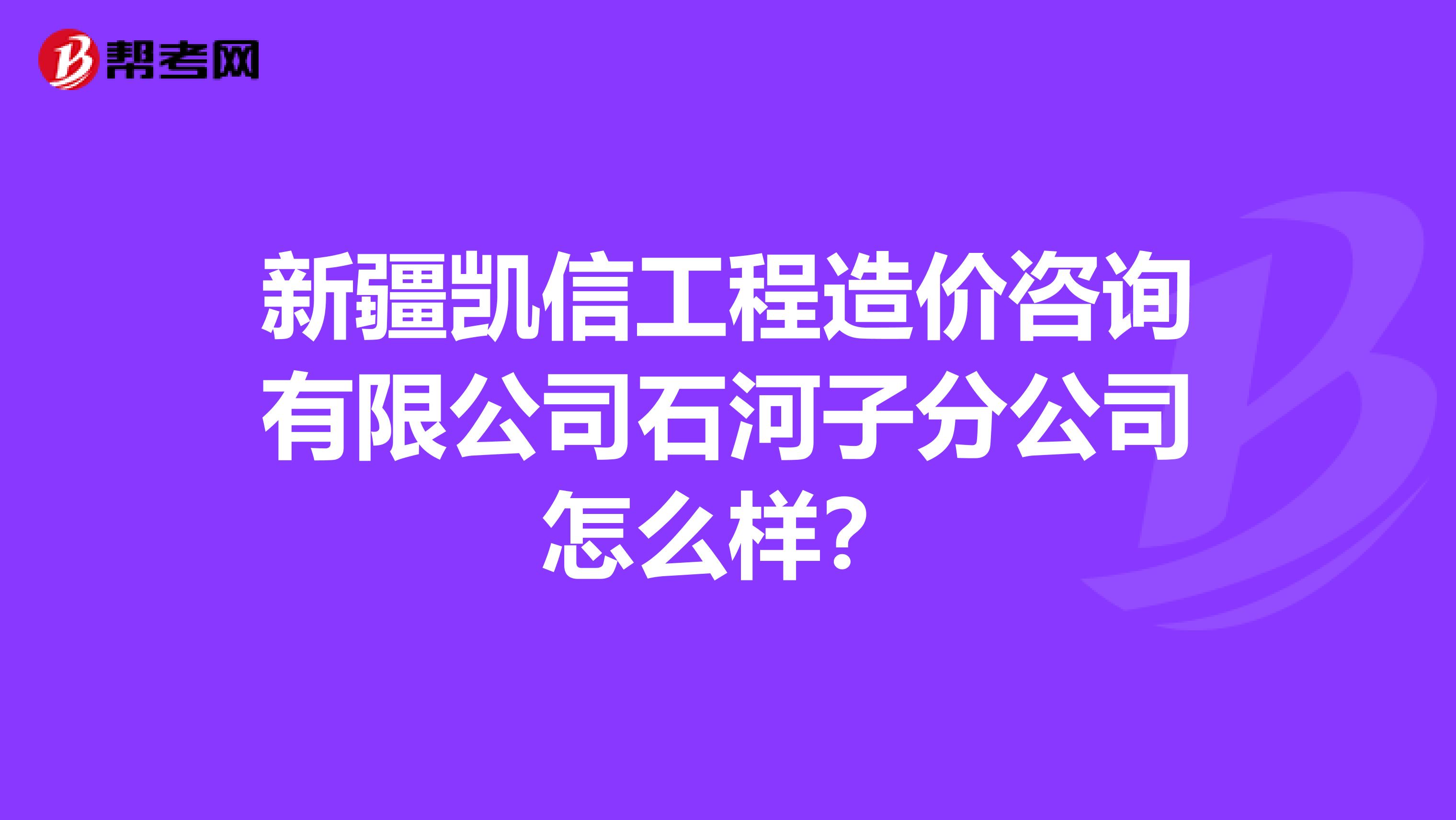 新疆凯信工程造价咨询有限公司石河子分公司怎么样？