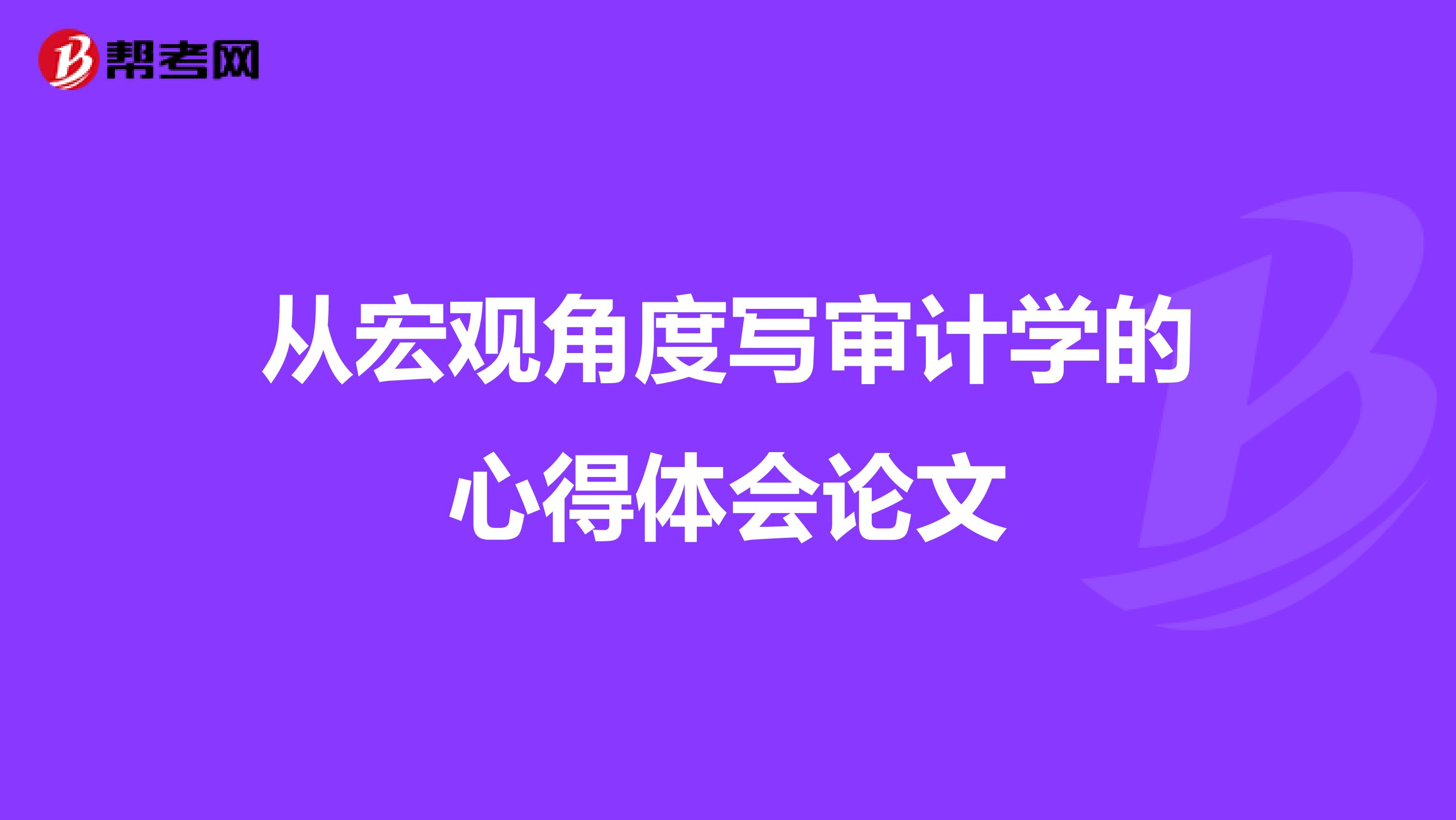 从宏观角度写审计学的心得体会论文