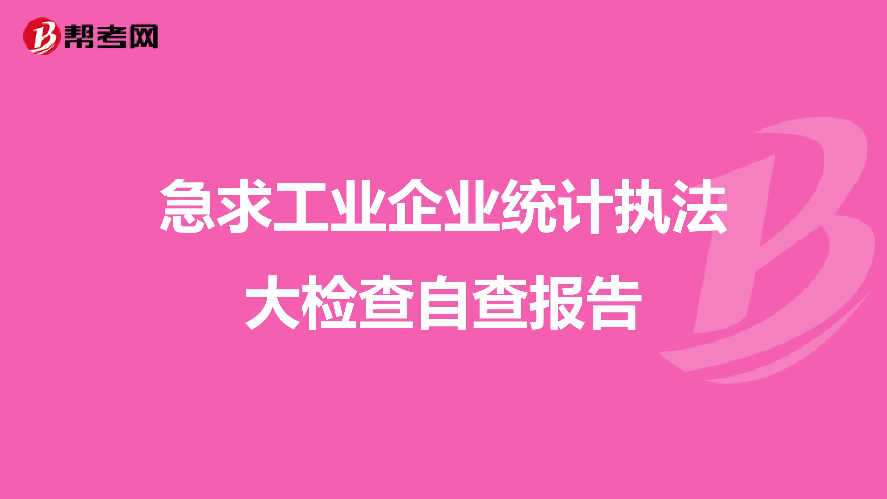 急求工业企业统计执法大检查自查报告