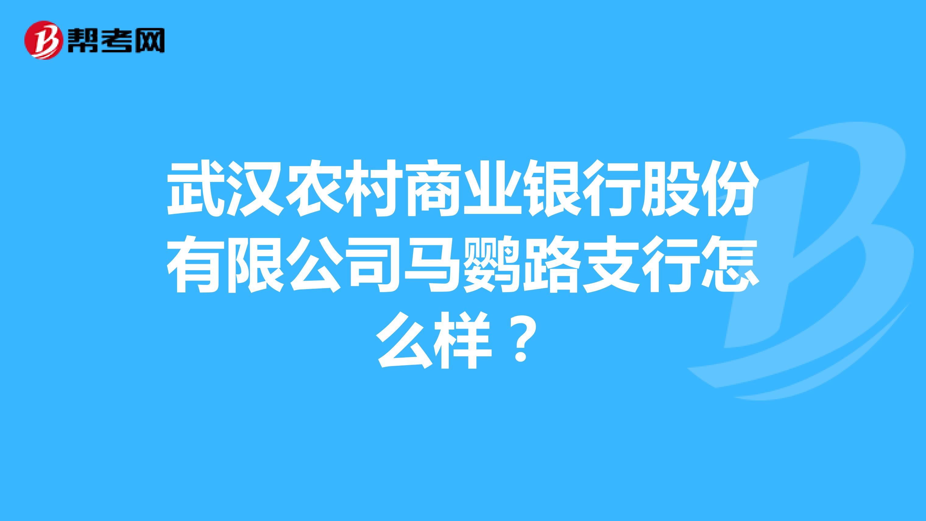 武汉农村商业银行股份有限公司马鹦路支行怎么样？