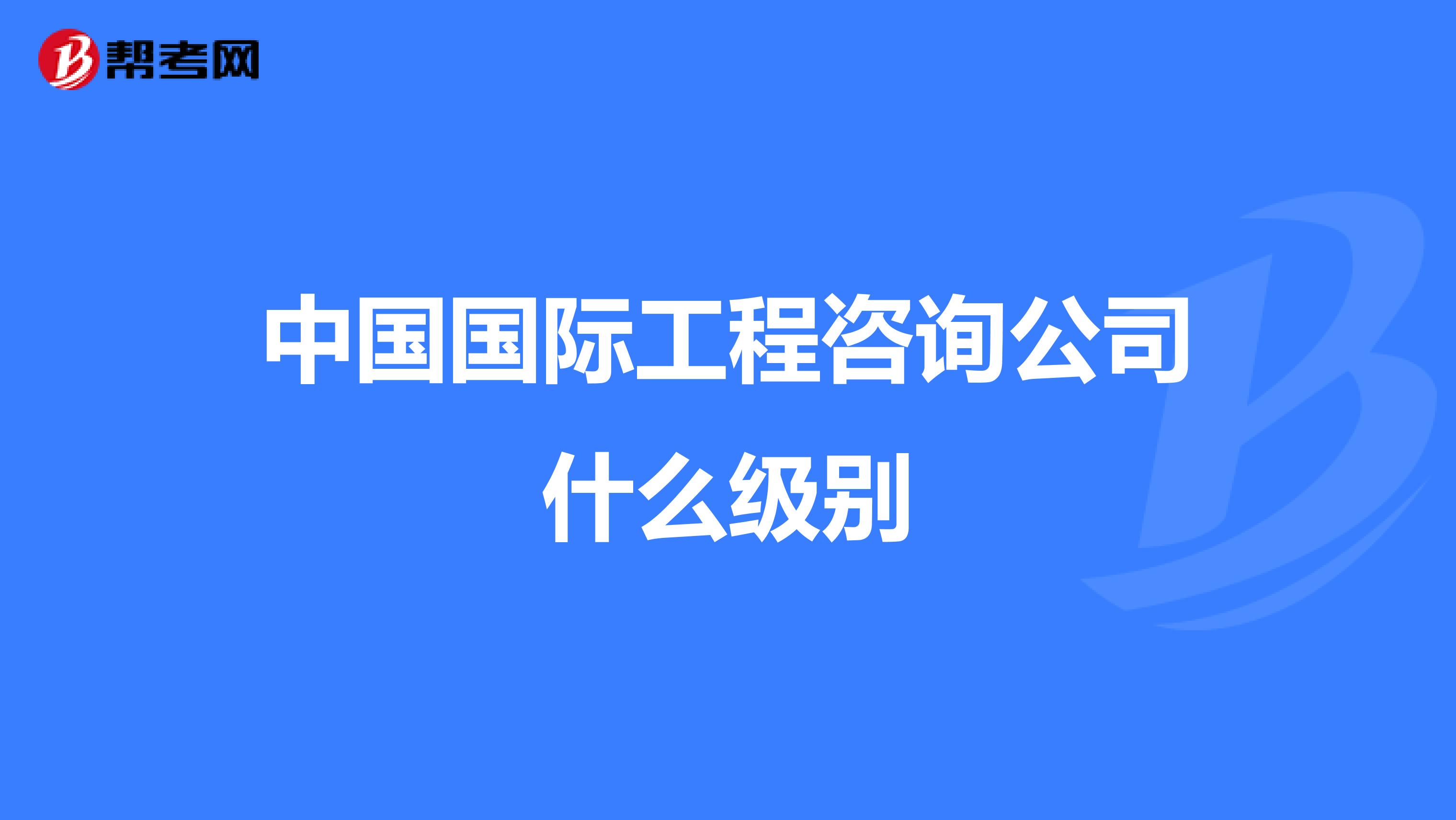 中国国际工程咨询公司什么级别